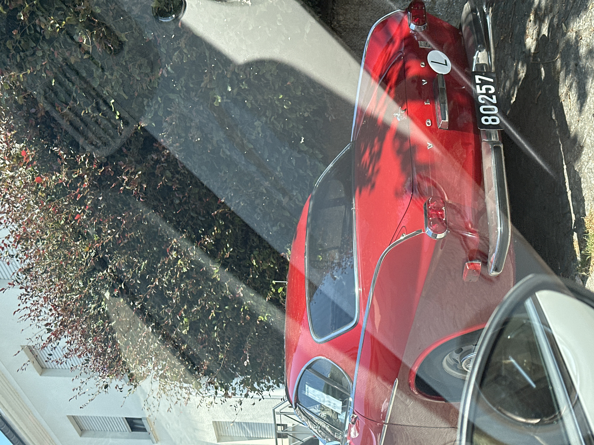 An eye-level shot captures a red vintage Volvo P1800 parked on a street in Vianden, Luxembourg. The car, with its iconic silhouette, is the central subject. Its chrome accents gleam under the dappled sunlight, which filters through a dense canopy of lush green and red foliage. This foliage is prominently positioned in the mid-ground, casting elongated shadows across the car and the paved surface it rests upon. In the background, a white building with modern window shutters stands. The scene is framed by reflections in a car window in the foreground, adding a layer of depth and context, suggesting the photographer is inside another vehicle. The license plate of the Volvo reads "80257", with a circular "L" sticker to its right, likely indicating its registration in Luxembourg.