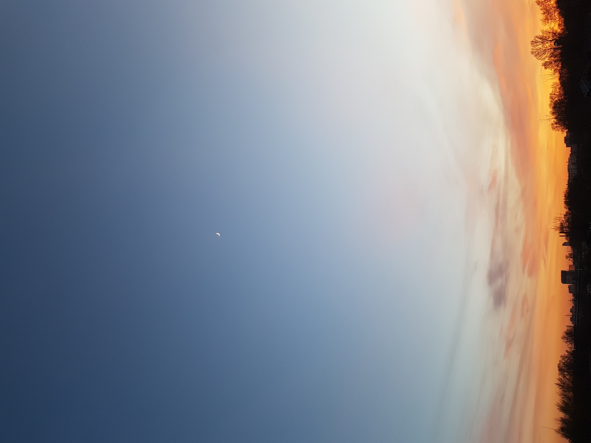 This image captures a wide-angle view of a sky at either dawn or dusk, displaying a striking gradient of colors. The left side of the sky is a deep, rich blue, transitioning smoothly towards a vibrant orange and yellow hue on the right. A slender, white crescent moon is visible in the upper left quadrant, standing out against the darker blue sky.
On the far right side of the image, the silhouettes of bare trees and distant buildings are visible along what appears to be the horizon line. These elements are dark against the bright, warm glow of the sky, suggesting the presence of an urban or suburban landscape in Saint Petersburg, Russia. The long, streaky clouds catch the warm light, adding texture to the colorful sky. No people or visible text are present in the image. The scene conveys a serene and expansive feeling, characteristic of twilight hours.