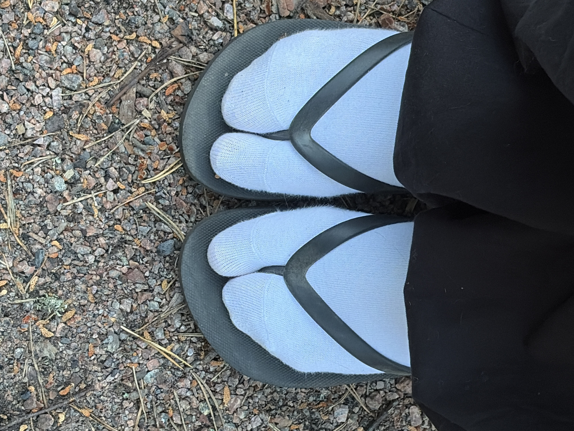 A close-up, top-down view shows a person's feet wearing light blue socks and dark gray flip-flops, standing on a gravelly surface with scattered pine needles and small orange-brown seed cones. The person is also wearing black pants that cover the lower portion of their legs. The image appears to have been taken outdoors in a natural setting, possibly a park or trail. No specific landmarks in Snegiryovka, Russia are visible.