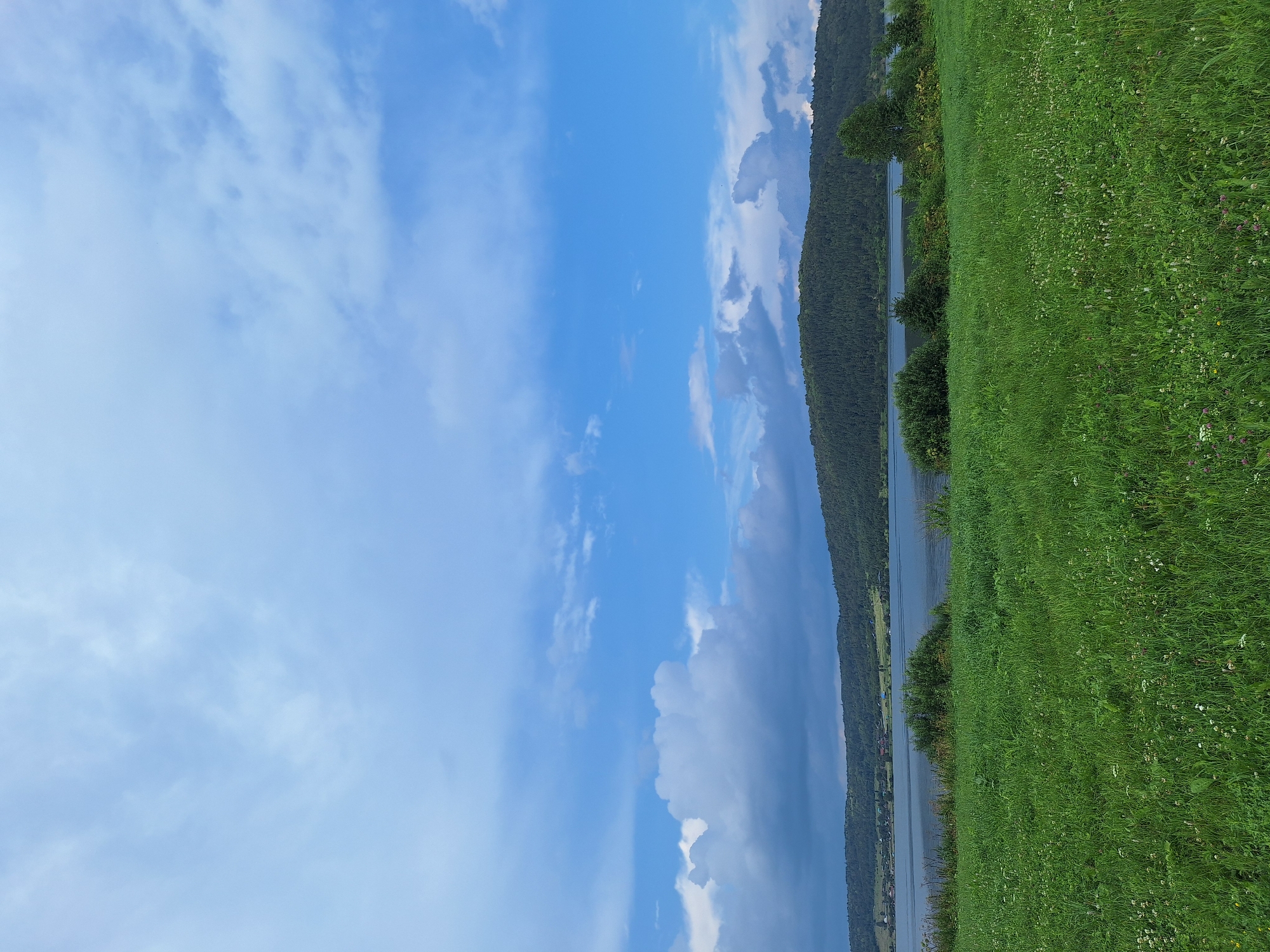 The image depicts a scenic landscape view from the shore of a lake, possibly in or near Atamanovka, Russia. The foreground is dominated by a lush, green grassy field dotted with small white and purple wildflowers. Beyond the field, a wide expanse of water stretches towards a forested hill that forms the middle ground. The hill is densely covered with dark green trees and slopes gently down towards the lake. Along the base of the hill, a line of buildings, appearing to be a small settlement, is visible. The sky above is a vibrant blue, characterized by a mix of fluffy white cumulus clouds and darker, more dramatic storm clouds, suggesting a dynamic weather pattern. The overall atmosphere is natural and serene.