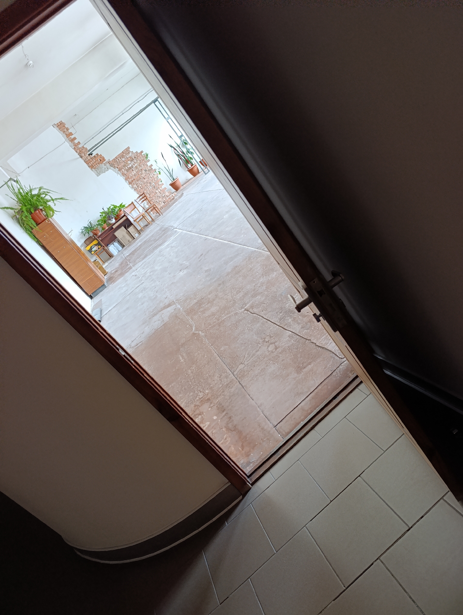 The image captures a view through an open doorway into an interior space. The foreground shows the edge of a wooden door frame and a dark, shadowed wall, with a doorknob and latch visible on the door itself. Beyond the doorway, a large room with light-colored tiled flooring is visible. The room has a roughly finished appearance, with exposed brickwork on one wall. Several potted plants are placed around the room, including a large fern on a wooden cabinet on the left and other plants on a table in the background. Two wooden chairs are also present in the background, near the exposed brick wall. The lighting suggests an indoor environment, likely during daylight hours. The context provided places this scene within the city council of Dubăsari, Moldova.