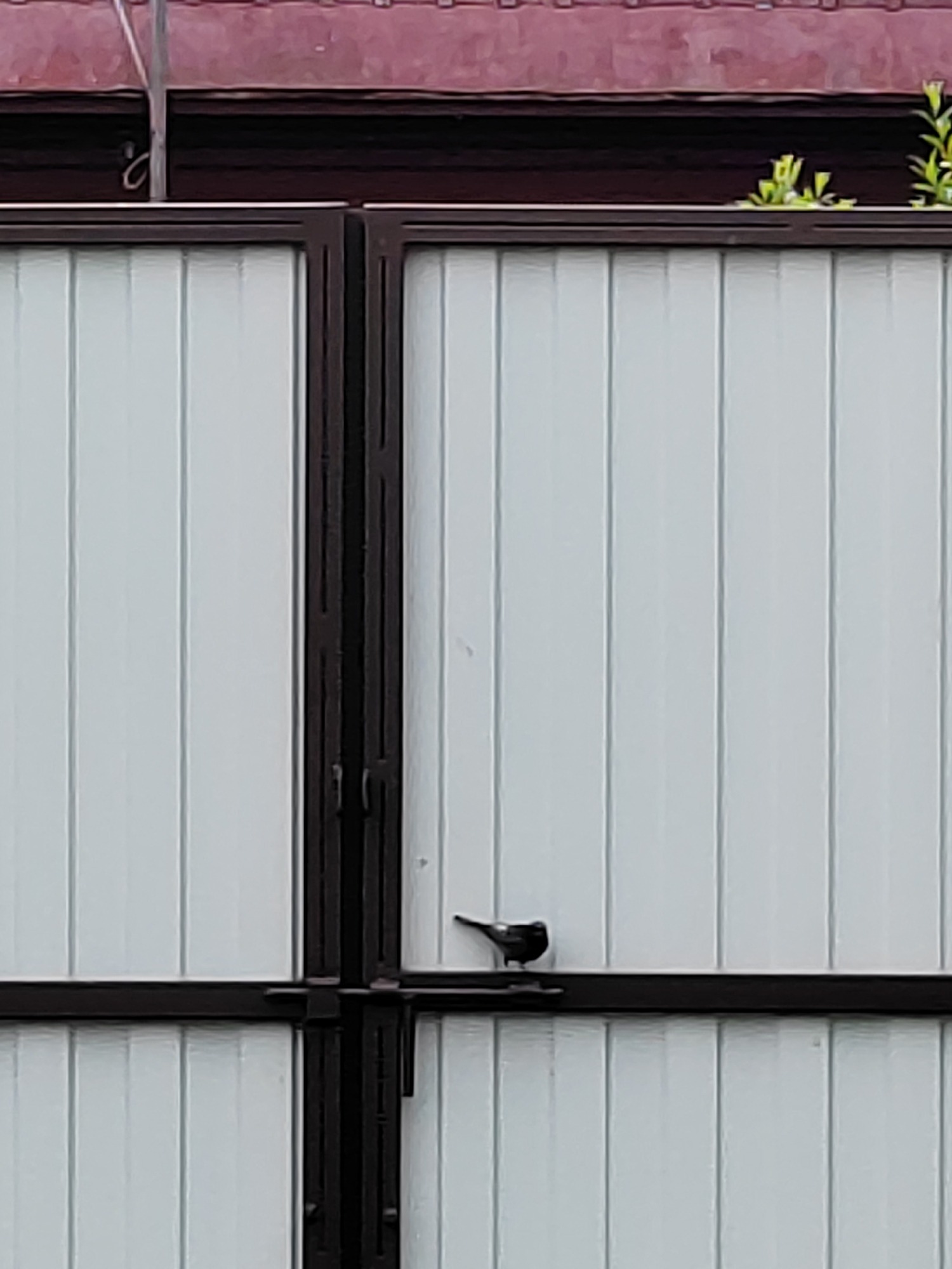 A small, dark bird is perched on a dark horizontal bar of a light-colored, ribbed fence or garage door. The fence is divided vertically by a dark frame, with the bird positioned on the right side. Above the fence, a dark horizontal beam runs across, topped by a dark reddish-brown roof. Green foliage is visible on the right side, growing from the top of the fence structure. The scene is outdoors.