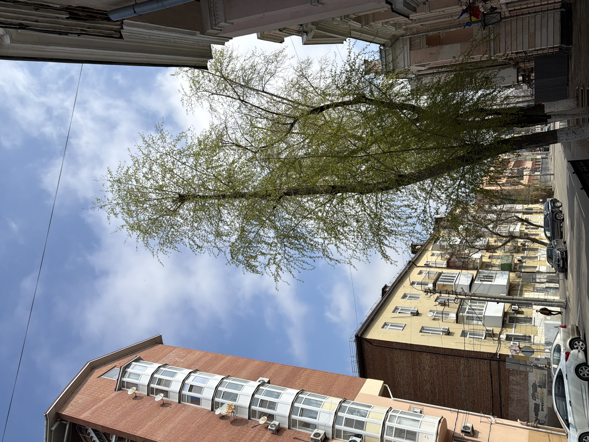The image depicts a street scene in Rostov-on-Don, Russia, viewed from a low angle looking up between buildings. On the left is a reddish-brick building topped with a white glassed-in atrium. Air conditioning units are visible on the building's exterior. A yellow apartment building is on the right, with a brick section at its base. Numerous windows and balconies are present. Cars are parked on the street in front of the apartment building. A tree with new green leaves grows between the buildings. Power lines are visible against the sky.