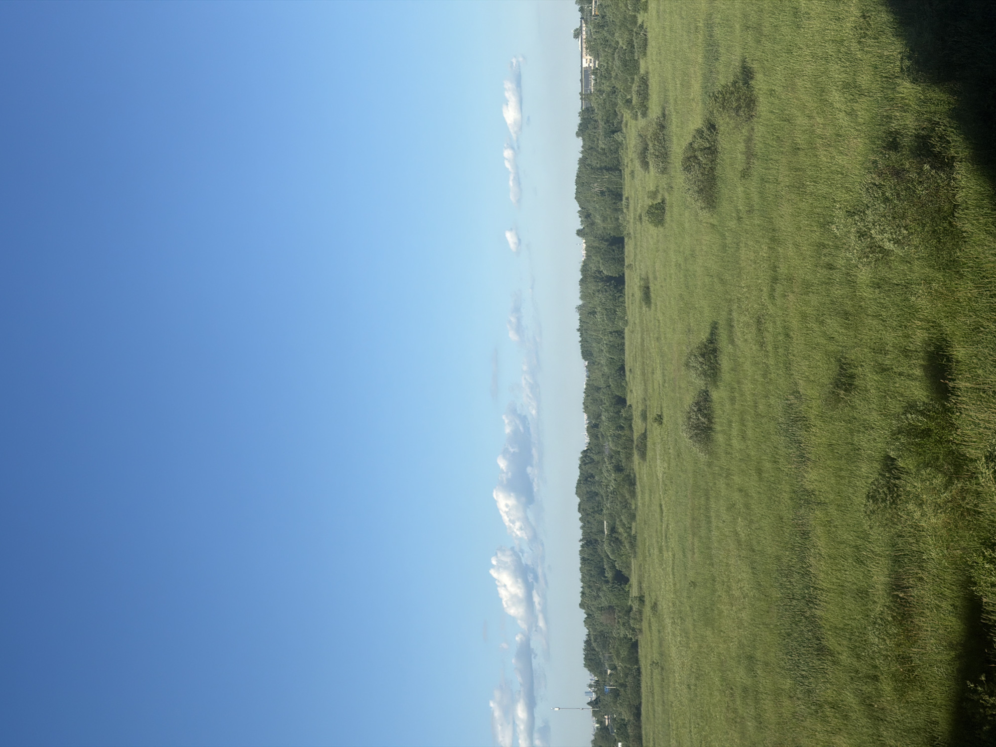 The image shows a panoramic view of a vast, green meadow dotted with various bushes and small trees. The meadow stretches towards a dense line of trees in the middle ground, which separates the open field from what appears to be a more urbanized area in the background. The sky above is a clear, bright blue with a few scattered, fluffy white clouds on the horizon. The overall impression is a serene, natural landscape on a sunny day.