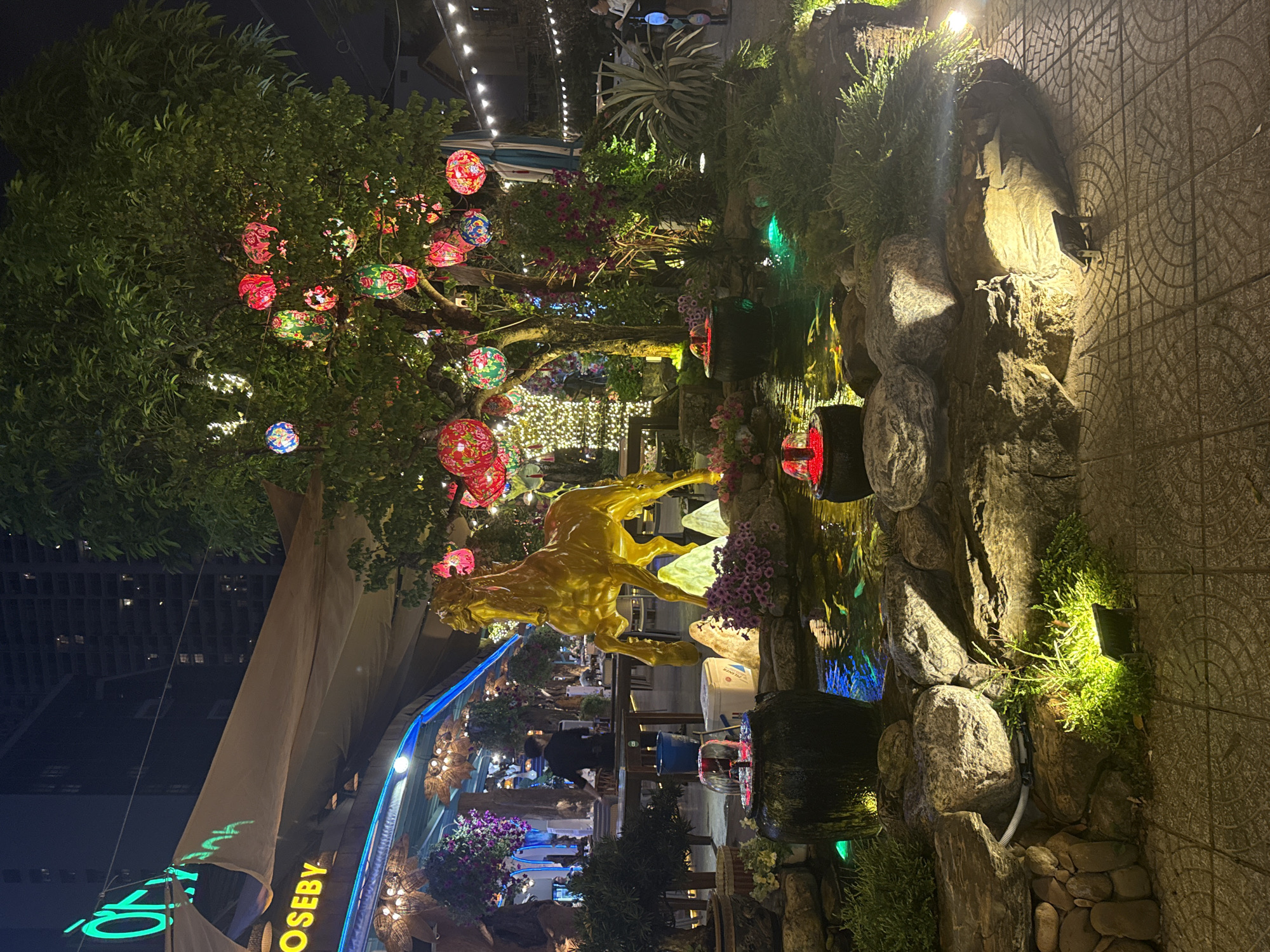 This nighttime image captures an elaborately decorated outdoor space, likely a restaurant or garden in Da Nang, Vietnam, illuminated by numerous artificial lights.
At the center of the scene is a striking golden statue of a horse in a dynamic, mid-gallop pose, brightly lit by spotlights. A large, leafy tree stands prominently, adorned with dozens of colorful, patterned lanterns that emit red, pink, blue, and green light. Additionally, strings of fairy lights are woven throughout the tree branches and extend into the background.
To the right of the horse statue, a multi-tiered rock garden features a pond or water feature, reflecting vibrant green, blue, and red lights. Lush green plants, bushes, and flowering purple plants are carefully arranged among the rocks and along the textured paved ground.
In the background, an awning-covered area suggests a dining space, with glimpses of tables and chairs. One individual wearing a black shirt is visible near this area. Distant urban buildings with illuminated windows can be seen against the dark night sky.
Notable visible text includes "OSEBY" in yellow letters on a sign, and some indistinct green neon text reflected on a light-colored awning. The overall atmosphere is festive, ornate, and serene, characterized by the abundant and colorful lighting and detailed landscaping.