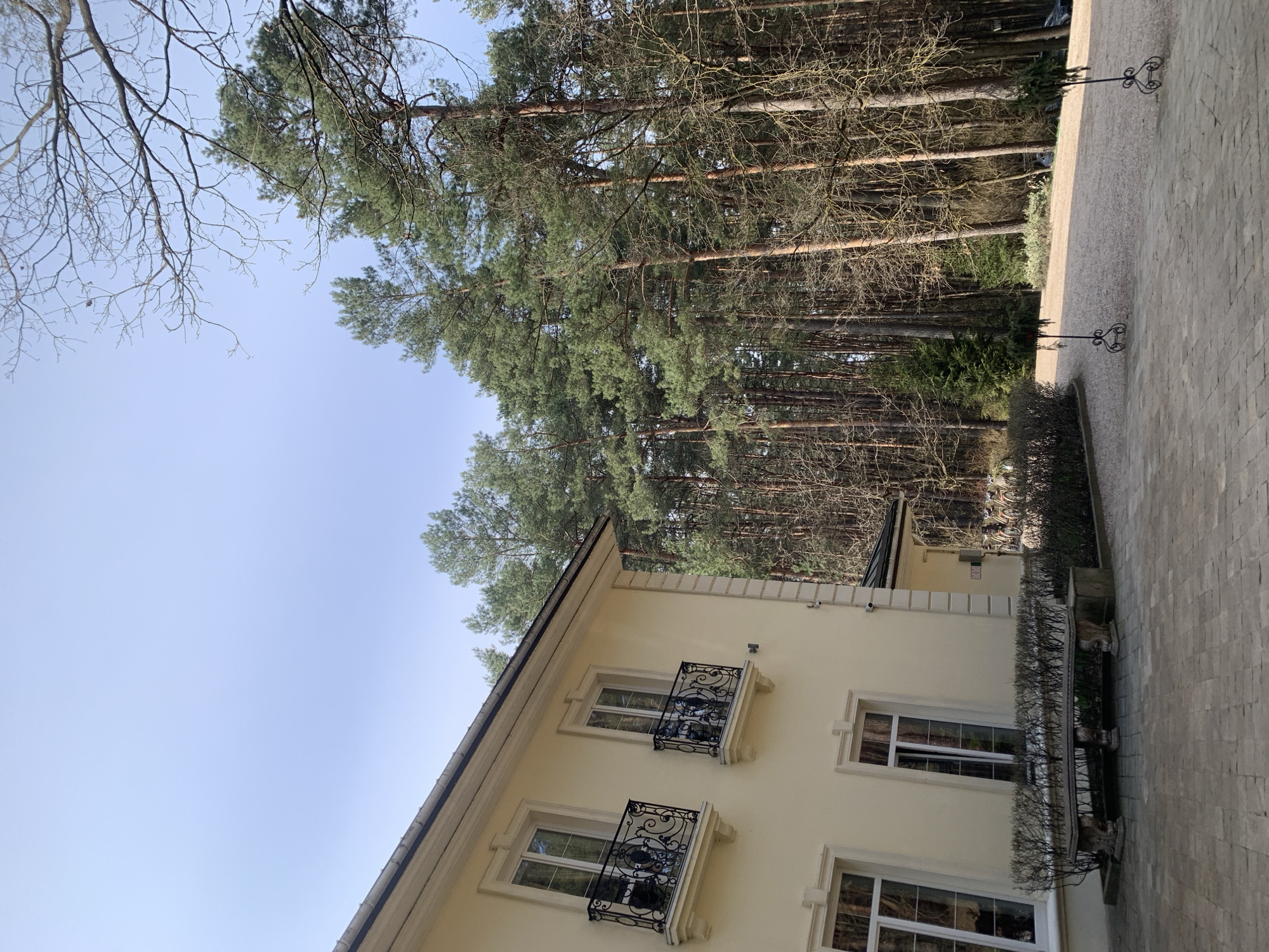 The image depicts a multi-story building with a cream-colored facade and white window frames. Some windows have decorative black iron balconies. A row of trimmed bushes runs along the base of the building. A paved walkway is located adjacent to the building. Beyond the building and walkway, there is a dense forest of tall, slender trees with green canopies. The sky is a clear blue. Bare tree branches are visible in the upper left corner of the frame. The location is near the Neman River in Hrodna, Belarus.