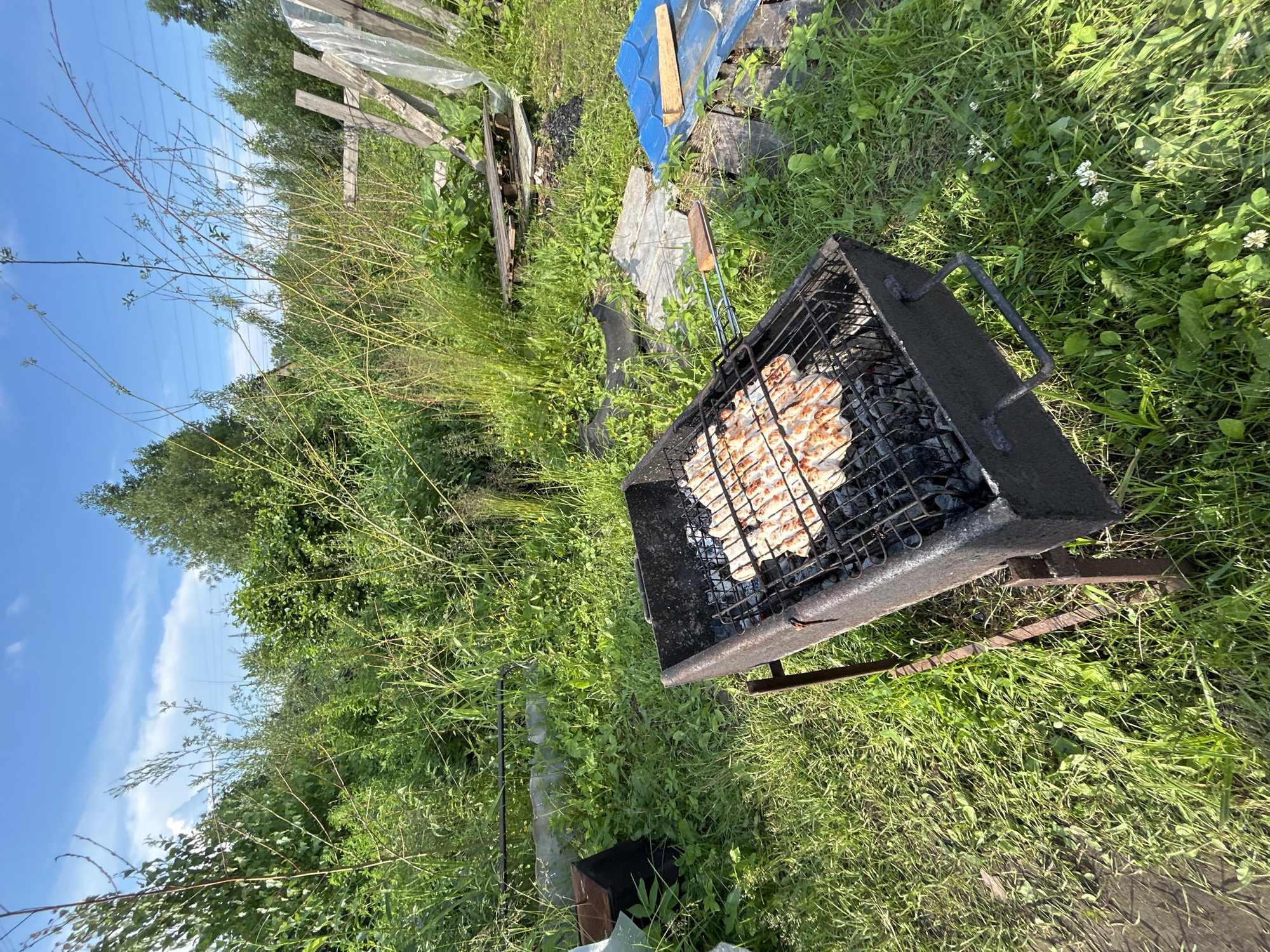 An outdoor scene in Chaikovsky, Russia, features a black metal grill filled with charcoal and topped with a rack of grilled meat. The grill is positioned on a grassy area with tall green vegetation surrounding it. In the background, a wooden fence is visible, along with trees and a bright blue sky with scattered clouds. The overall impression is of a casual, rustic setting, possibly a backyard or a park, where someone is preparing food outdoors. The lighting suggests it is daytime.
