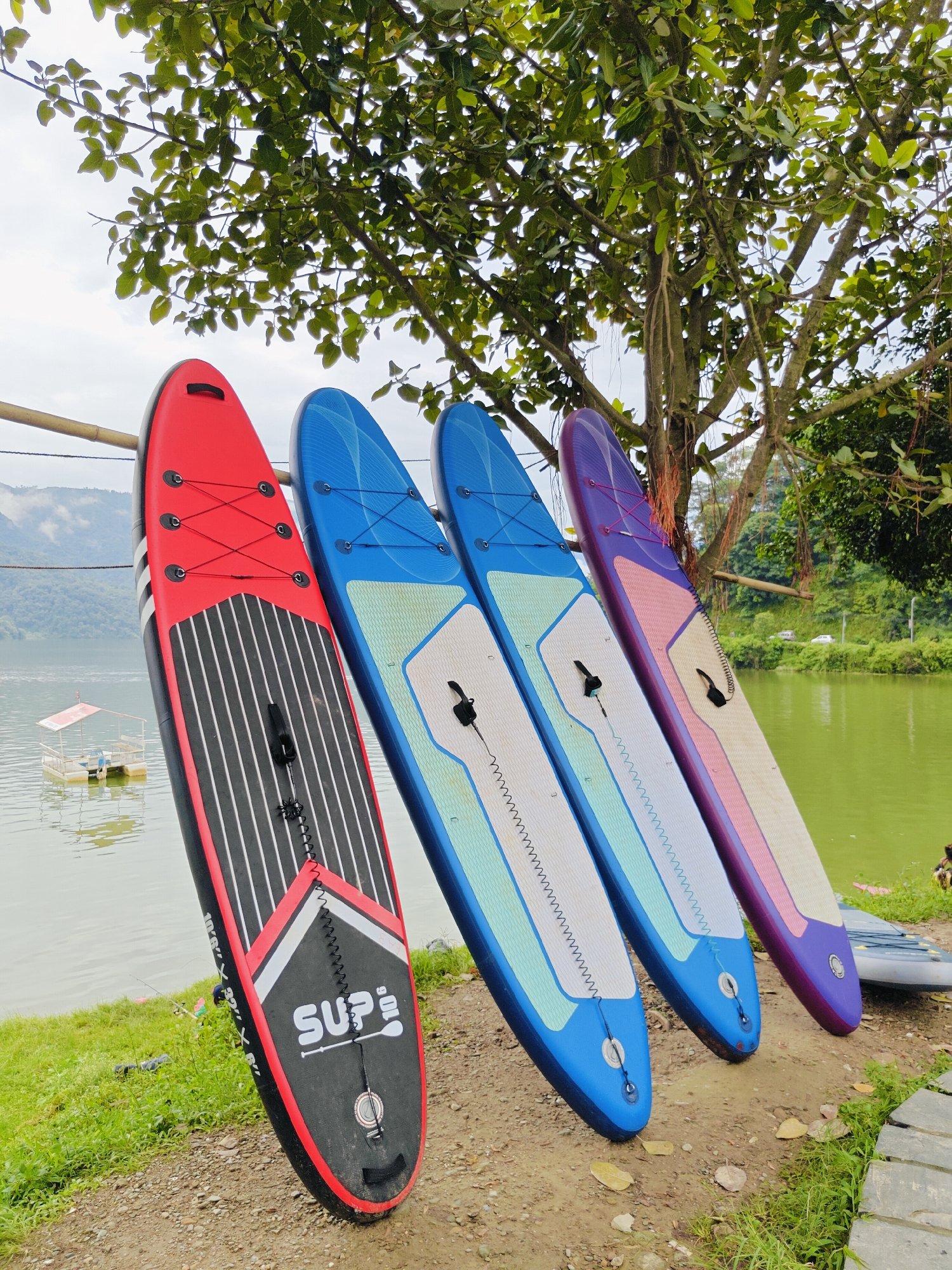 Four stand-up paddleboards, red, blue, light blue, and purple, are leaning against a bamboo railing near a lake. A large tree with green leaves is overhead, casting shadows. In the background, a calm lake with a small floating structure is visible, along with a green hillside and mountains. The ground is a mix of dirt and gravel. The scene appears to be in Pokhara, Nepal, likely near Phewa Lake, a popular tourist destination known for its natural beauty and adventure activities.