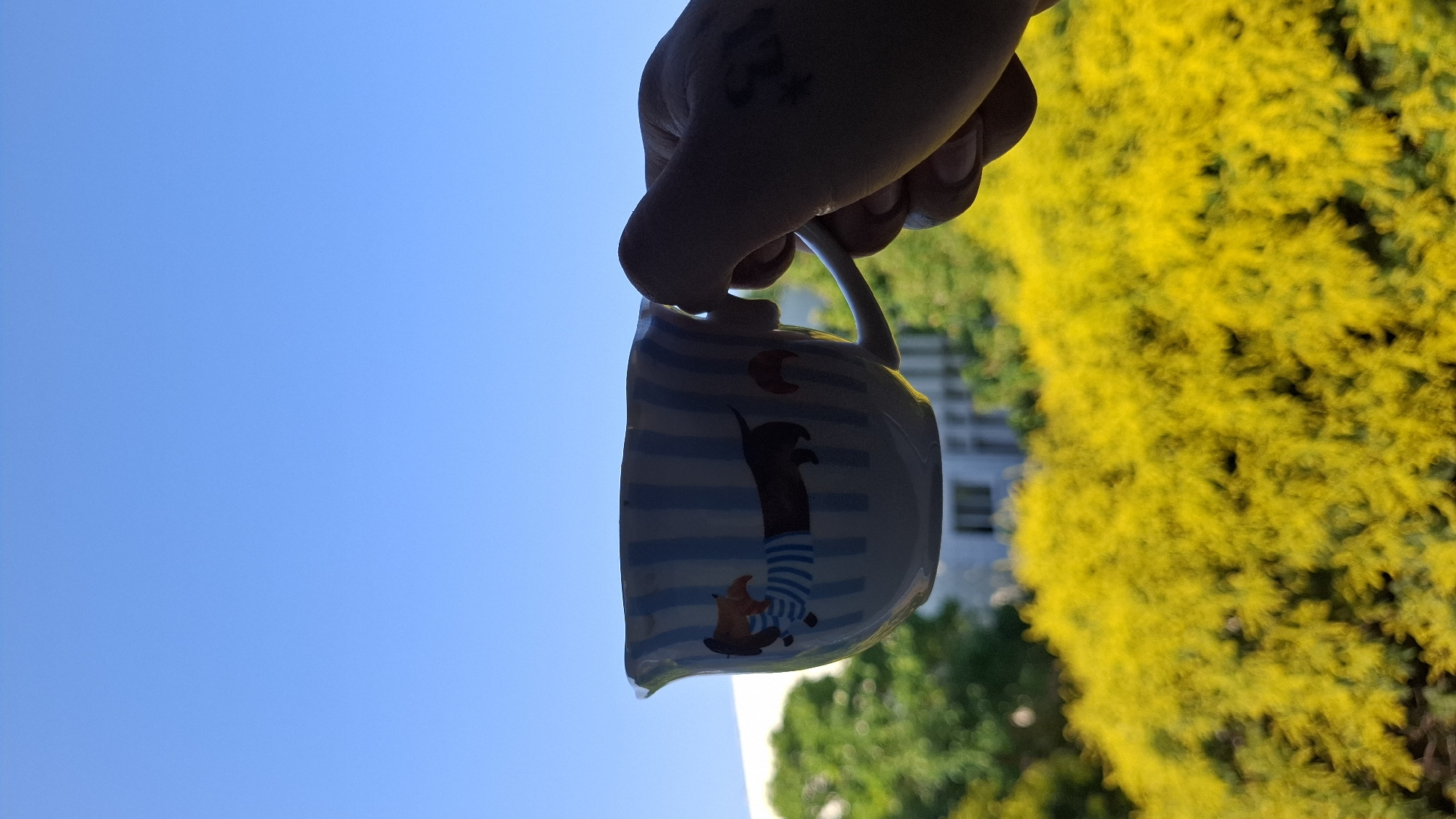 A close-up, silhouetted shot shows a hand holding a small ceramic cup with blue and white vertical stripes and a graphic of a dachshund wearing a sailor outfit. The cup is positioned in the foreground against a backdrop of a clear blue sky. In the middle ground, out of focus, is a building with green trees in front of it. The background is dominated by a bright, blurry expanse of yellow flowers, likely a bush or hedge. The image is taken outdoors on a sunny day.