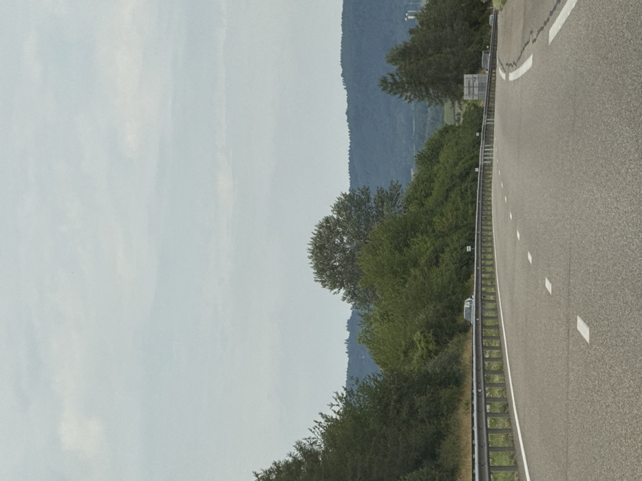The image depicts a two-lane asphalt highway curving right, situated in a rural or semi-rural environment near Gottesheim, France, under an overcast sky. A metal guardrail extends along the left side of the road, separating it from a steep, densely vegetated embankment comprised of various green trees and shrubs. Beyond the curve on the left, a dark-colored sedan is partially visible on the road. The background features a range of forested hills or mountains under a pale, cloudy sky. On the far right horizon, indistinct structures, possibly industrial, are faintly visible. White dashed lines mark the lanes, and solid white lines define the shoulders. No individuals are present in the scene.