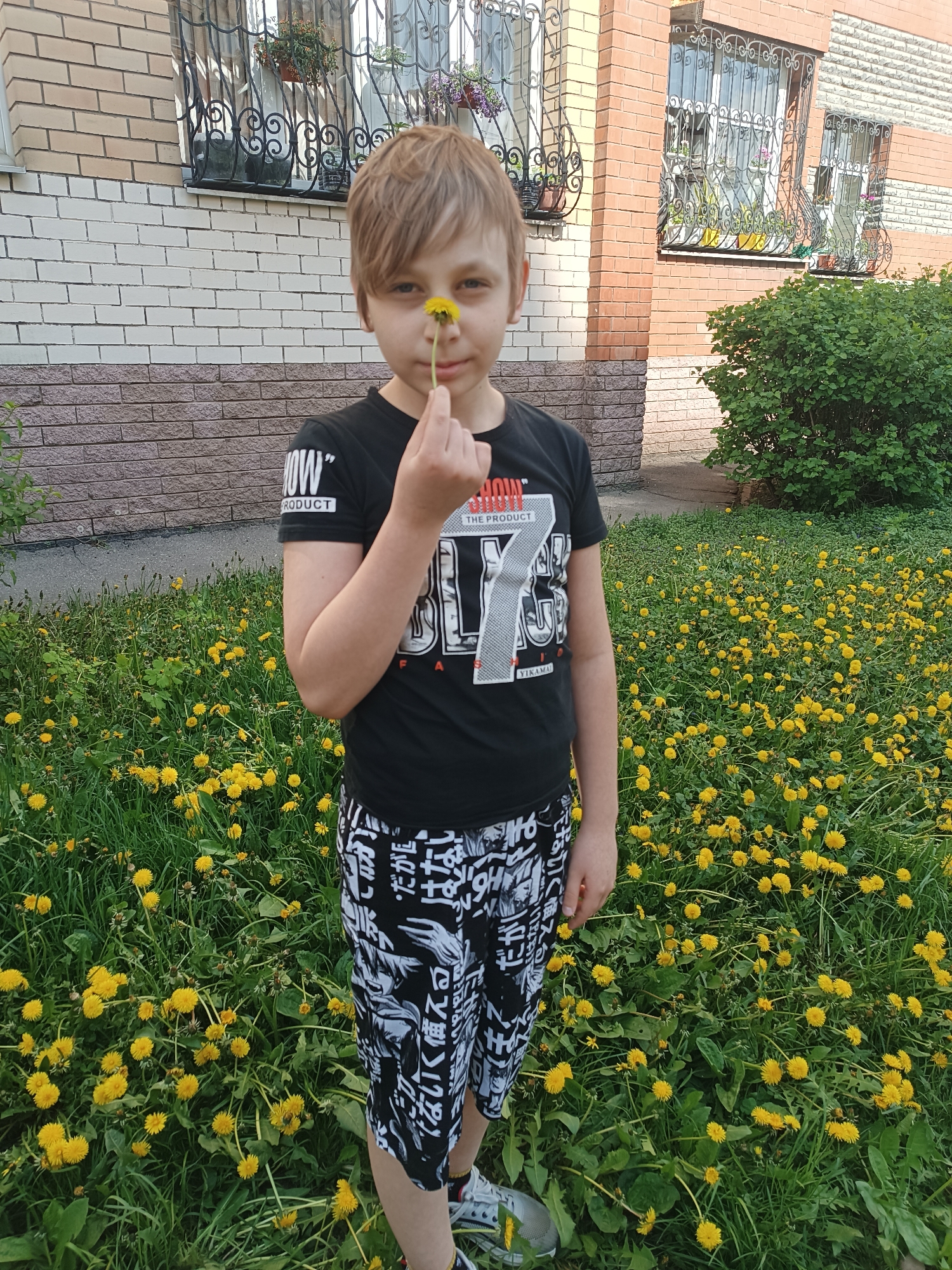 A young boy stands in a field of dandelions, holding a single dandelion flower up to his nose. The boy is wearing a black t-shirt with a large graphic and black and white patterned shorts. The background shows a brick building with window grates and flower boxes. A green bush is visible to the right of the boy. The location appears to be in a residential area, possibly a yard or park.