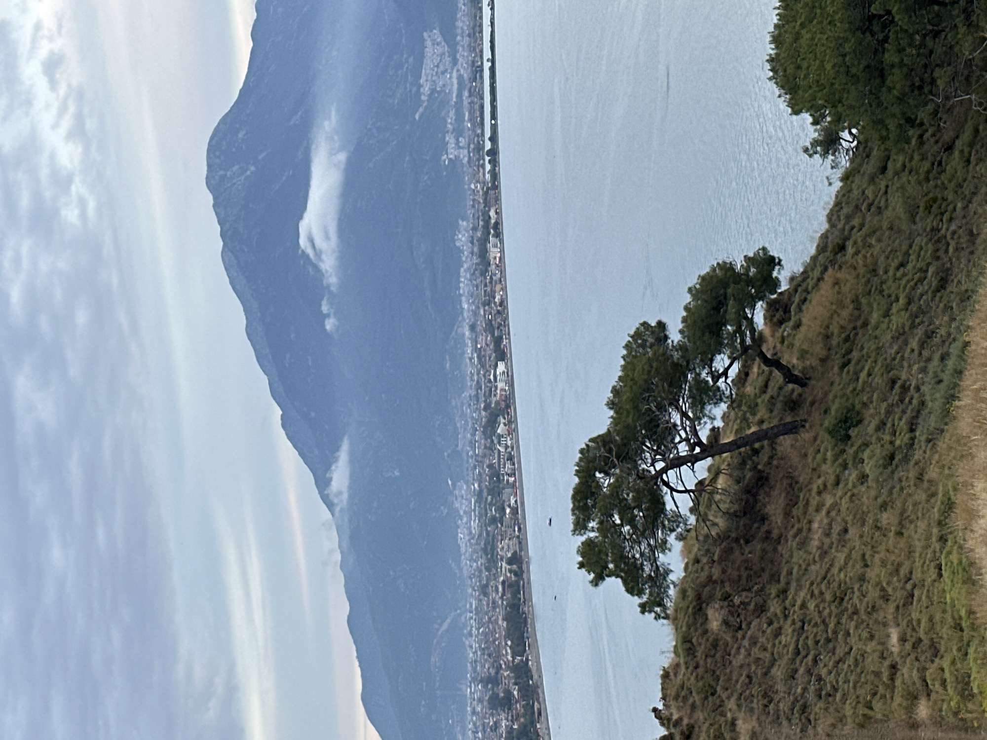 The image captures a view from a hillside in Fethiye, Turkey. A mountain looms in the background to the left, partially shrouded in cloud. A city stretches along the coastline at the base of the mountain, separated from the hillside by a body of water. A pair of leaning trees stand on the hillside to the right of the frame. The landscape is a mix of dry grasses and shrubs. The sky is overcast.