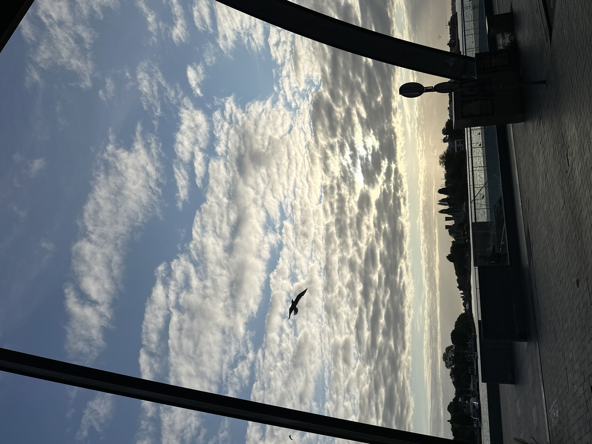 A silhouetted bird with its wings outstretched flies across a cloudy sky above a body of water in the city of Amsterdam, Netherlands. Two dark metal beams frame the scene from the left and right, suggesting the perspective is from beneath a bridge or other large structure. The sky is filled with a mix of white and gray clouds, with patches of blue visible. The sun appears to be low on the horizon, casting a soft light. In the distance, the Amsterdam skyline is visible, with trees and buildings lining the waterfront. A walkway with a brick-like pattern extends across the foreground. A signpost stands on the right side of the frame.