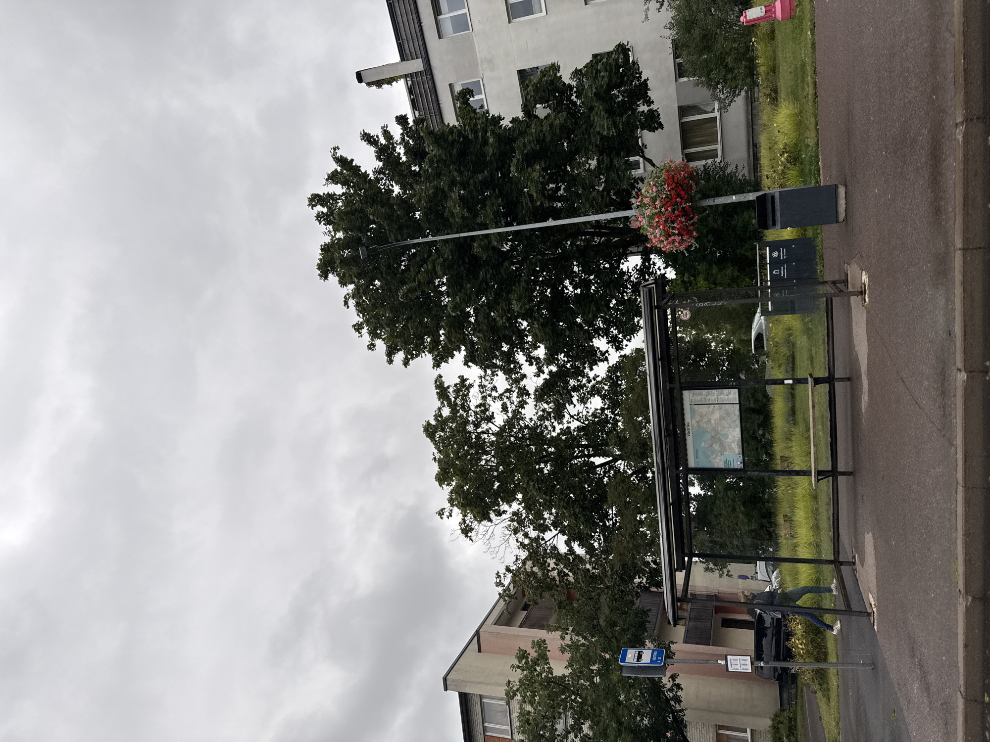 The image shows a bus stop shelter on an overcast day, likely in a residential area of Tallinn, Estonia. A person, dressed in blue jeans and a dark jacket, is walking away from the shelter carrying a white object. The shelter has a bench inside and a map displayed on the wall. Next to the shelter are two trash cans and a lamppost adorned with a hanging basket of red and pink flowers. In the background, there are apartment buildings and mature trees with dense foliage. The ground in front of the shelter is paved.