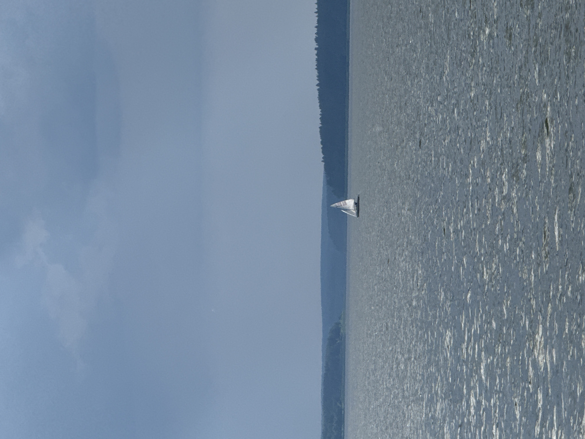 A sailboat navigates on a large body of water under a cloudy sky. The water is choppy, with sunlight reflecting off its surface. A distant, dark treeline forms the horizon. The scene suggests a temperate climate. The image captures a moment of tranquil activity on the water.