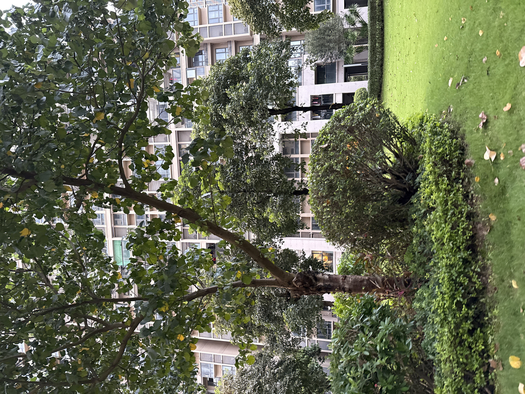 The image shows a residential building in Huizhou, China, with a manicured lawn and trees in the foreground. The building is tall and modern, with many windows and balconies. The lawn is green and well-kept, and there are several trees and bushes around it. The trees are full of leaves, and some of them are starting to change color, suggesting it might be autumn. The overall scene is peaceful and serene, with no people visible. It is likely a common area within a residential complex, maintained for the enjoyment of its residents.