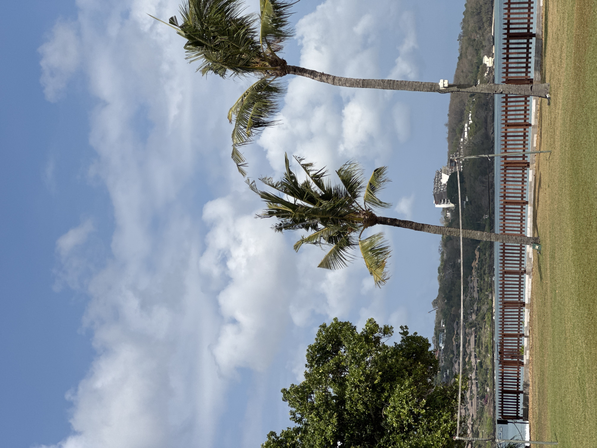 A wide-angle shot captures a tropical scene with a bright blue sky and scattered white clouds. In the foreground, a well-maintained green lawn is bordered by a wooden fence. Behind the fence, the blue ocean stretches out, with a resort complex visible on a hill in the background, characteristic of Kuta Selatan, Indonesia. Two palm trees stand tall on the right side of the image, their fronds swaying gently. A volleyball net is set up on the grass, suggesting recreational activities. The overall ambiance is serene and picturesque, embodying the typical scenery of a tropical beach resort.