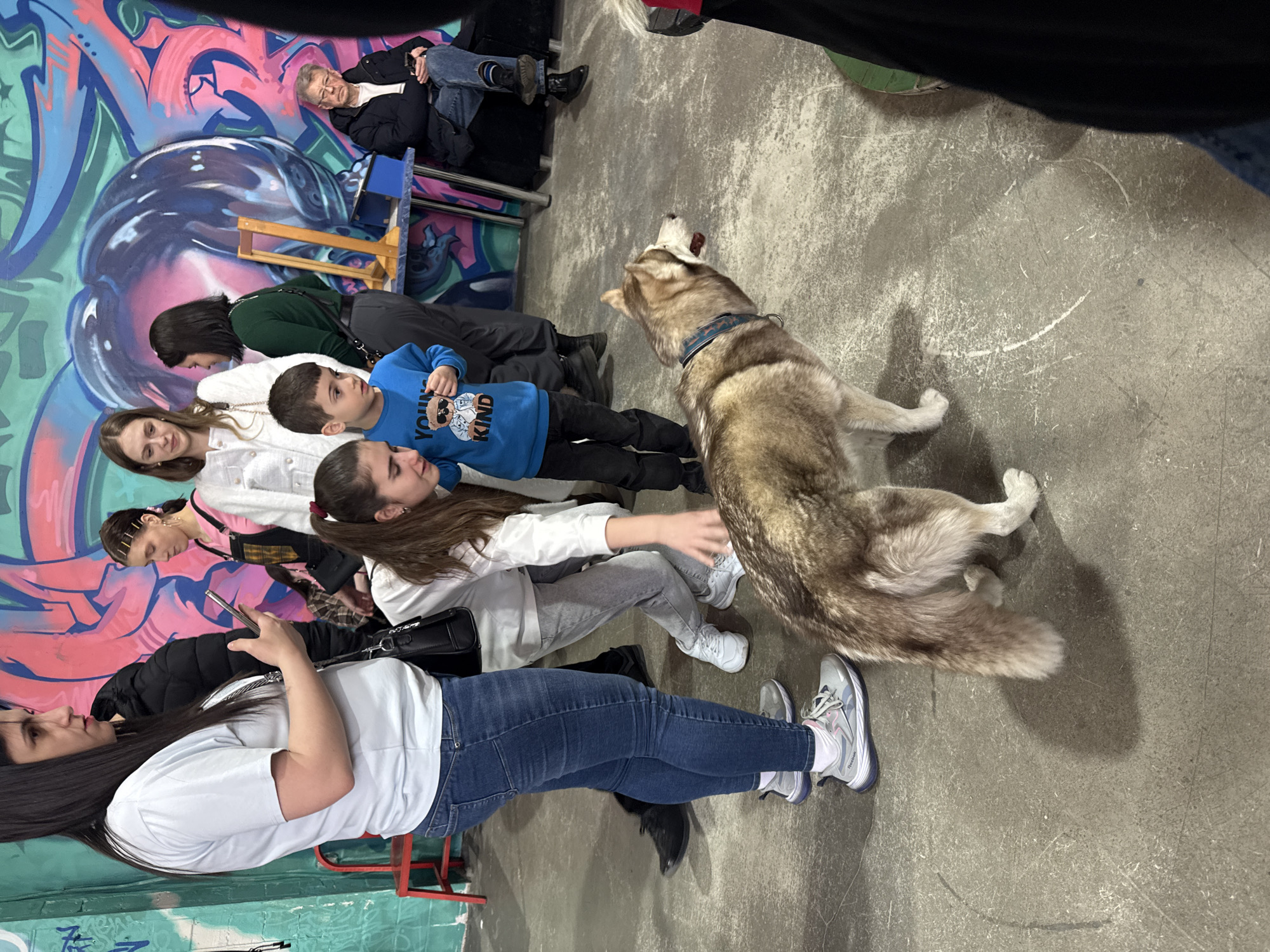 The image shows a group of people and a dog in an indoor space with a concrete floor. A mural with graffiti art in blue, pink, and purple decorates a wall. The dog, a husky, is standing on its hind legs, facing the group. Several people are lying on the floor, with a young boy wearing a blue sweatshirt that says "YOUR KIND" among them. An older man sits on a blue folding chair along the wall. A woman in a white shirt and jeans stands in the foreground, holding a phone. Another woman in a white top is sitting next to her. There are multiple people, all of different ages and wearing different clothes. It is not possible to discern the location to be in Saint Petersburg, Russia, from the visible information.