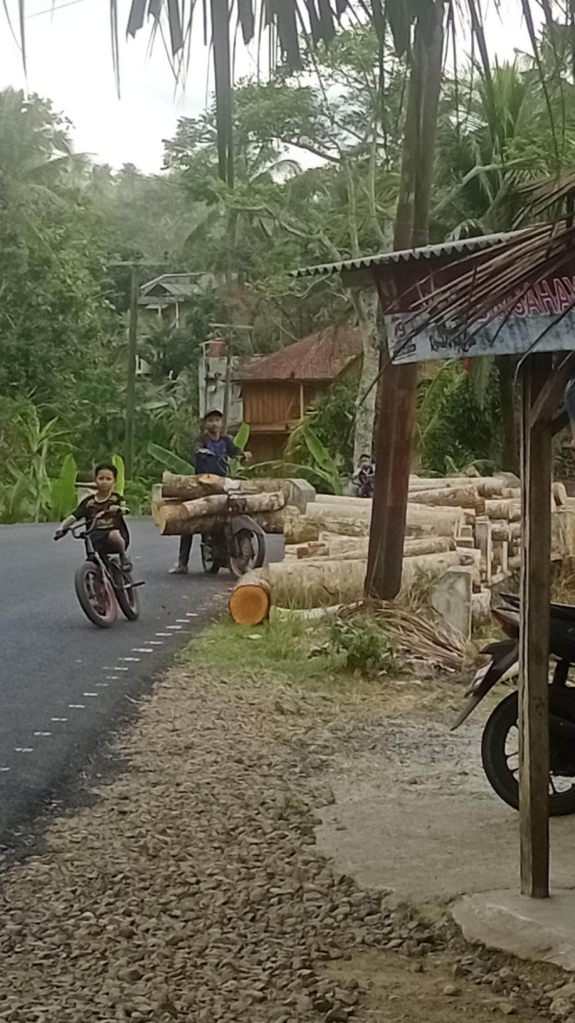 In Cibeber, Indonesia, a scene unfolds along a rural roadside. A young boy on a bicycle rides on the paved road. Behind him, another boy stands next to a motorcycle loaded with logs. The motorcycle is parked on the side of the road, with more logs piled up nearby. The environment is lush and green, with trees and foliage suggesting a tropical setting. A small structure with a corrugated roof is visible in the background, along with houses and utility poles. The overall impression is of a working rural community where transportation of goods, in this case logs, is an everyday activity.