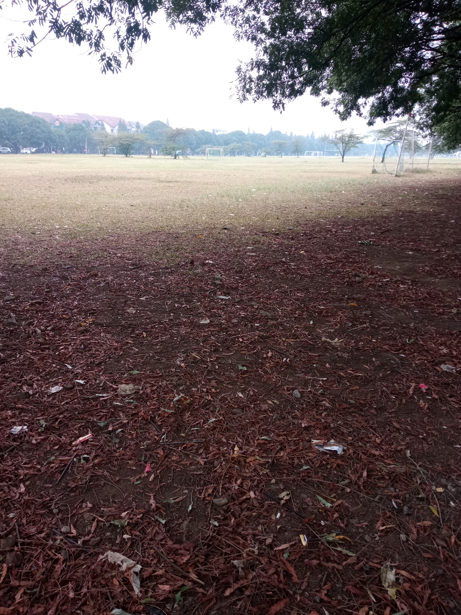 The image depicts an outdoor scene, likely a field or park, covered in a thick layer of fallen brown leaves. Scattered amongst the leaves are various pieces of litter, including plastic wrappers and what appears to be a cigarette butt. In the background, a grassy field is visible, marked with soccer goals. Beyond the field, rows of buildings and trees suggest an urban or suburban environment. The sky is overcast, casting a diffused light over the scene. The overall impression is one of neglect or disuse, with natural elements like fallen leaves mixed with man-made debris.
