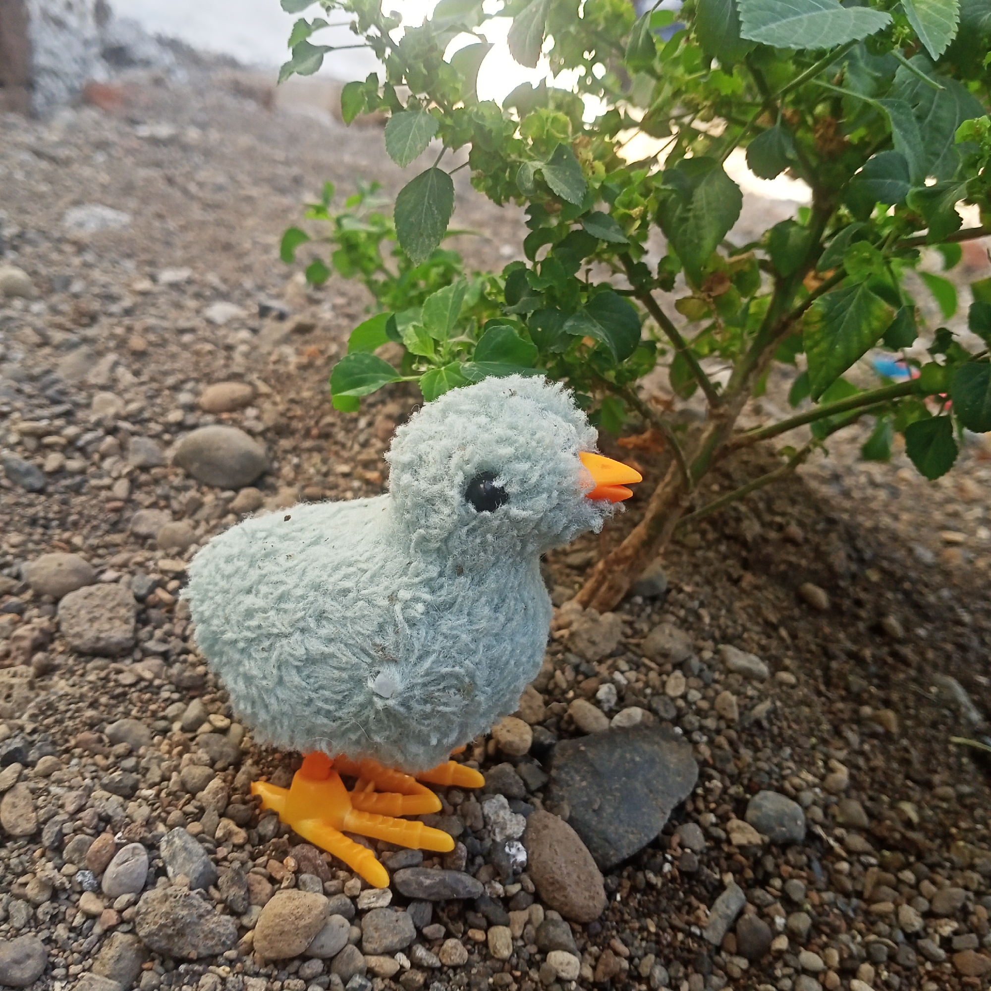 A close-up, eye-level, outdoor photograph captures a light blue, plush toy chick with bright orange feet and beak, positioned on a surface composed of small, varied-colored pebbles and gravel. The chick faces right, its black eye visible. Behind the chick, a green leafy plant with a rough brown stem grows upwards, catching the sunlight which creates a bright, washed-out area in the upper background. The scene appears to be an outdoor setting, possibly a garden or yard, given the gravelly ground and plant life. The specific location is Kedung Dowo, Indonesia.