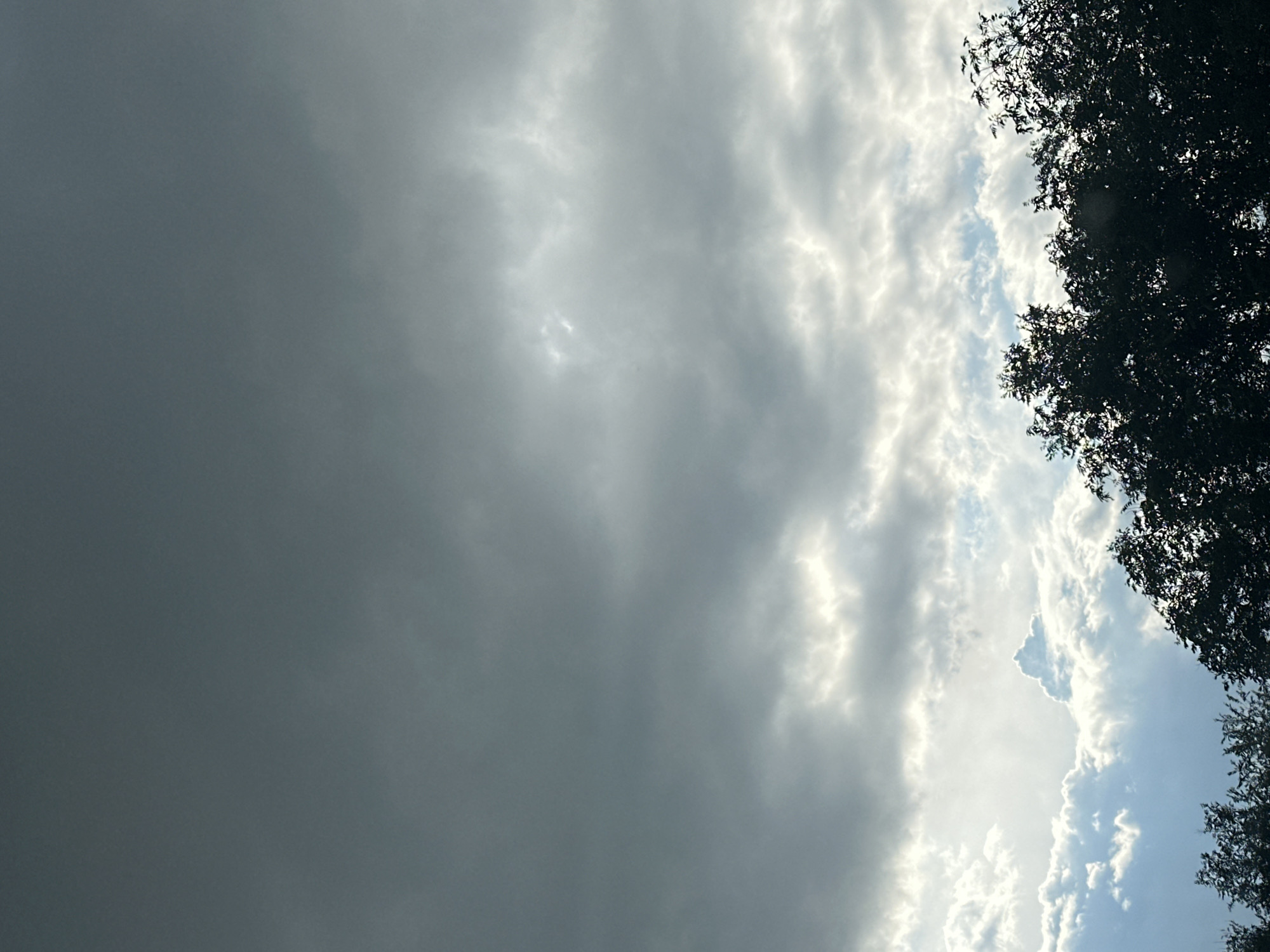 The media file shows a sky with clouds and the silhouette of tree branches in the upper right and lower right corners. The clouds are varied in density, with some appearing dark and overcast, suggesting impending rain or a storm. Other areas of the sky are brighter, with sunlight filtering through the clouds, creating a dramatic contrast. The scene is likely outdoors, given the presence of tree branches. The lighting suggests it could be late afternoon or early evening, a time when the sun is lower in the sky and can cast long shadows or create striking cloud formations. There are no people or objects visible, and no text is present. The overall mood conveyed by the image is somewhat dramatic and perhaps a little ominous due to the dark clouds, but also beautiful because of the interplay of light and shadow in the sky. The orientation of the image, with the sky occupying most of the frame and the trees at the edges, could indicate it was taken from ground level looking upwards, or from a vehicle.