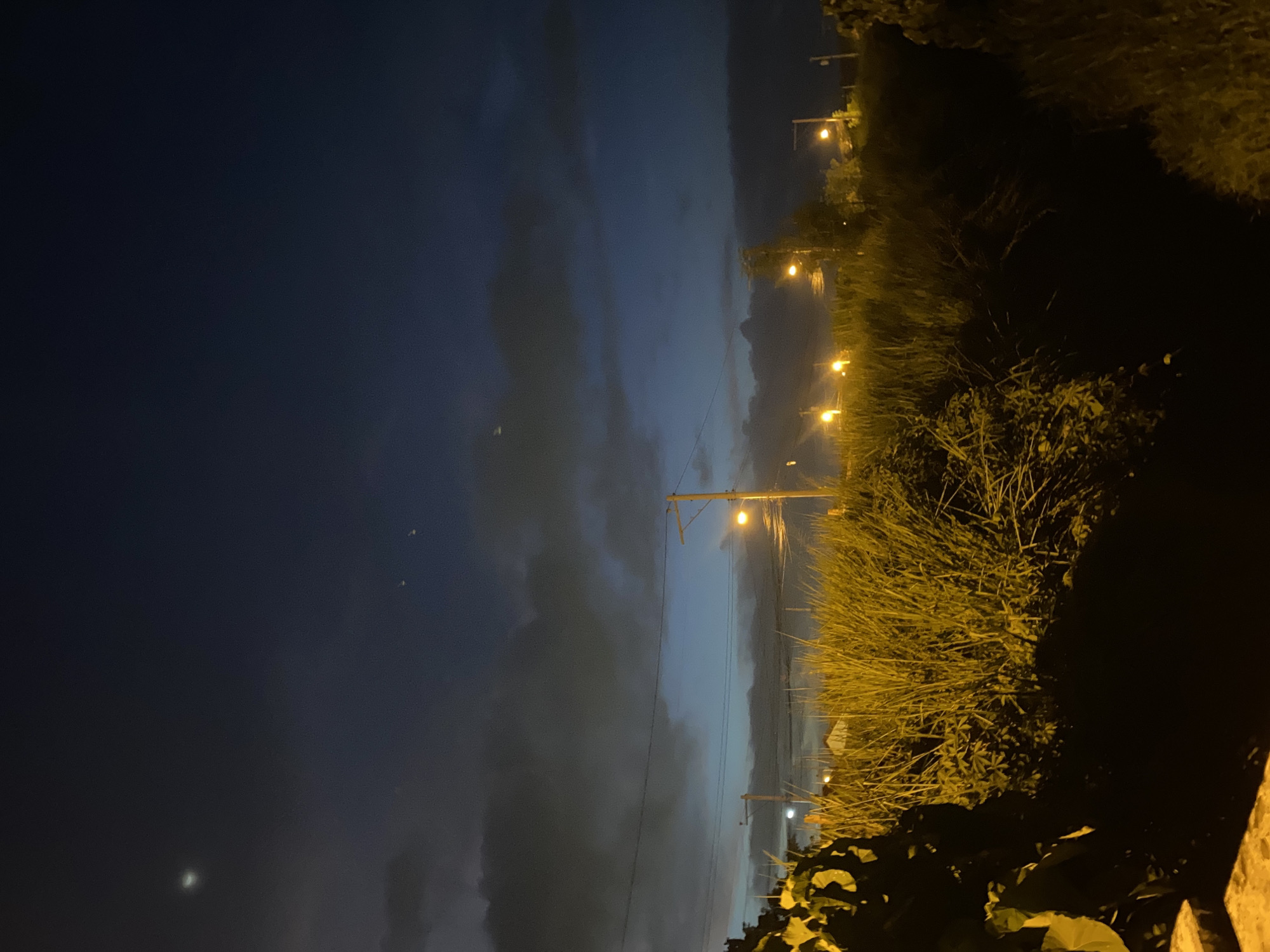 A nighttime scene captures a rural or semi-rural area, possibly on the outskirts of Davao City, Philippines, given the presence of tall grasses and vegetation alongside what appear to be utility poles and streetlights. The sky is a deep, dark blue, transitioning to lighter shades closer to the horizon, with some scattered clouds. A faint crescent moon is visible in the upper left quadrant of the sky. Several distant points of light, likely streetlights, illuminate the scene, casting a warm glow on the tall, dry grasses in the mid-ground. In the foreground, the shadow of dense vegetation creates a dark, obscured area on the left side of the image. The overall impression is one of tranquility and a quiet evening in a semi-developed area.
