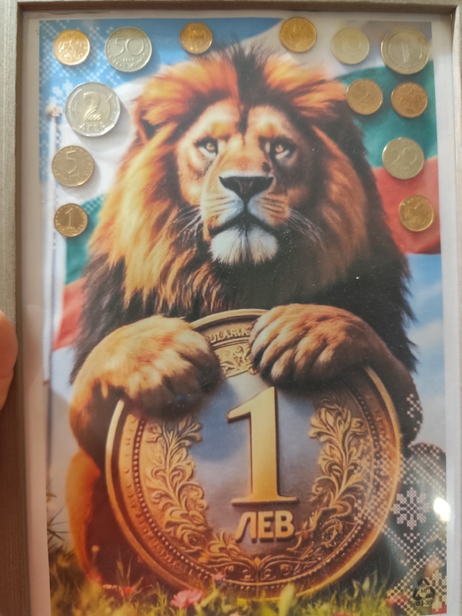 The image shows a framed collage featuring a close-up of a lion's head and mane, superimposed over a background that includes Bulgarian flags and decorative patterns. Scattered around the lion's head are several coins of various denominations. The lion appears to be holding a large, golden coin with the number "1" and the Cyrillic text "ЛЕВ" (Lev) prominently displayed. The overall presentation is decorative and patriotic, possibly for display in a home or public space. There is no indication of the city of Montana, Bulgaria, or any specific location within it.