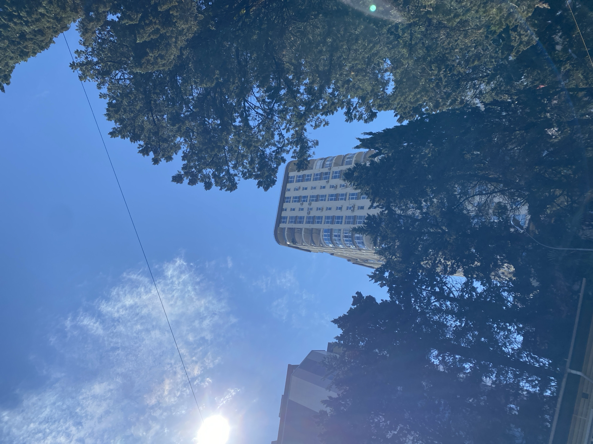 The image, taken from a low angle, shows a view of the sky, partially obscured by trees, with a tall building visible in the center. The building appears to be multi-storied, likely residential, with numerous windows and a rounded facade. The sky is blue with scattered white clouds, and the sun is visible, creating a glare. The trees framing the view are green and dense, suggesting a park or urban forest environment. A powerline also bisects the sky. Based on the architecture, vegetation, and overall aesthetic, the image may be from the city of Sochi, Russia. Another building is partially visible in the lower right corner.