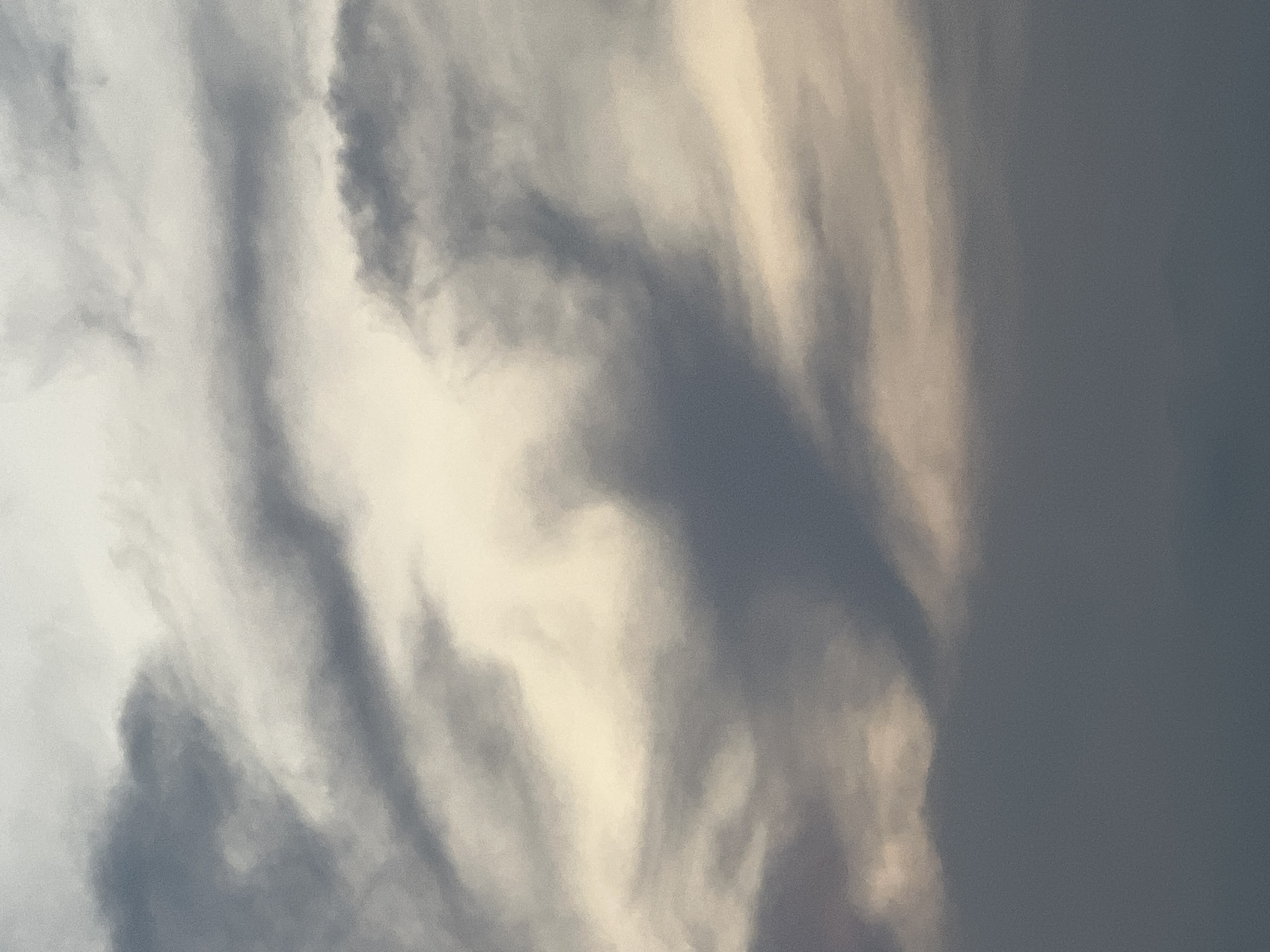 A dense, dark cloud formation resembling a bird or a winged creature dominates the center of the image. The cloud is silhouetted against a lighter, yellowish sky. Wispy, grey clouds are visible in the background and on the edges of the frame. The overall scene suggests a dramatic sky, possibly at dusk or dawn, with no discernible city landmarks.
