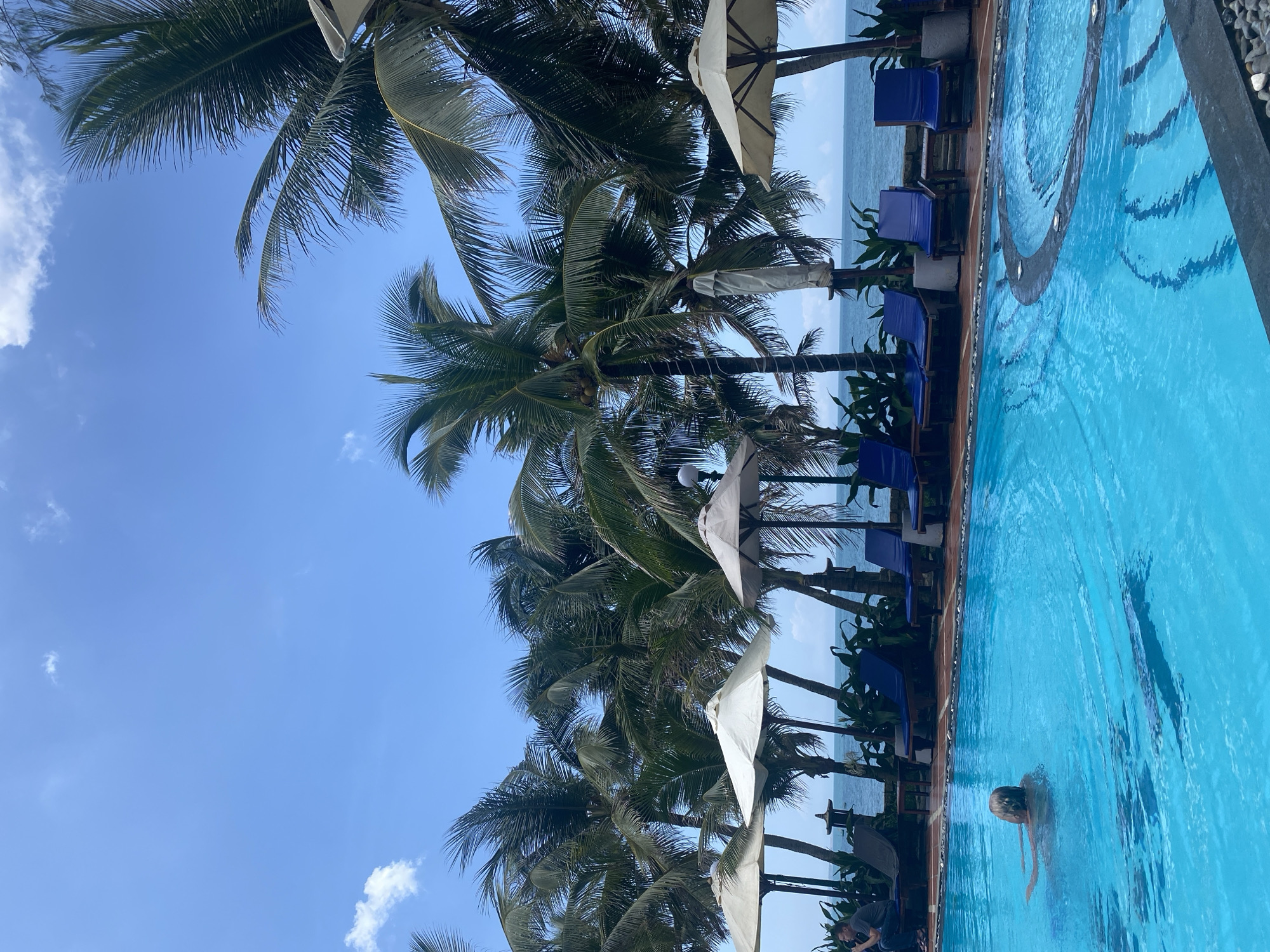The image captures an outdoor leisure scene in Phu Thuy Ward, Vietnam, under a clear blue sky with scattered white clouds. A light blue swimming pool occupies the lower portion of the frame. Within the pool, one individual is partially submerged, with their head and shoulders visible, facing towards the left. Adjacent to the pool, a tiled walkway separates it from a lounge area. This area contains several dark blue lounge chairs and three open, light-colored patio umbrellas. Another individual is seated on a lounge chair to the left, under an umbrella, appearing to interact with a handheld device. A dense line of tall palm trees with green fronds stands behind the lounge area. Beyond the palm trees, the calm, light blue ocean is visible, meeting a distant horizon. Decorative garden lanterns are present among the palm trees. The scene is brightly illuminated by natural daylight.