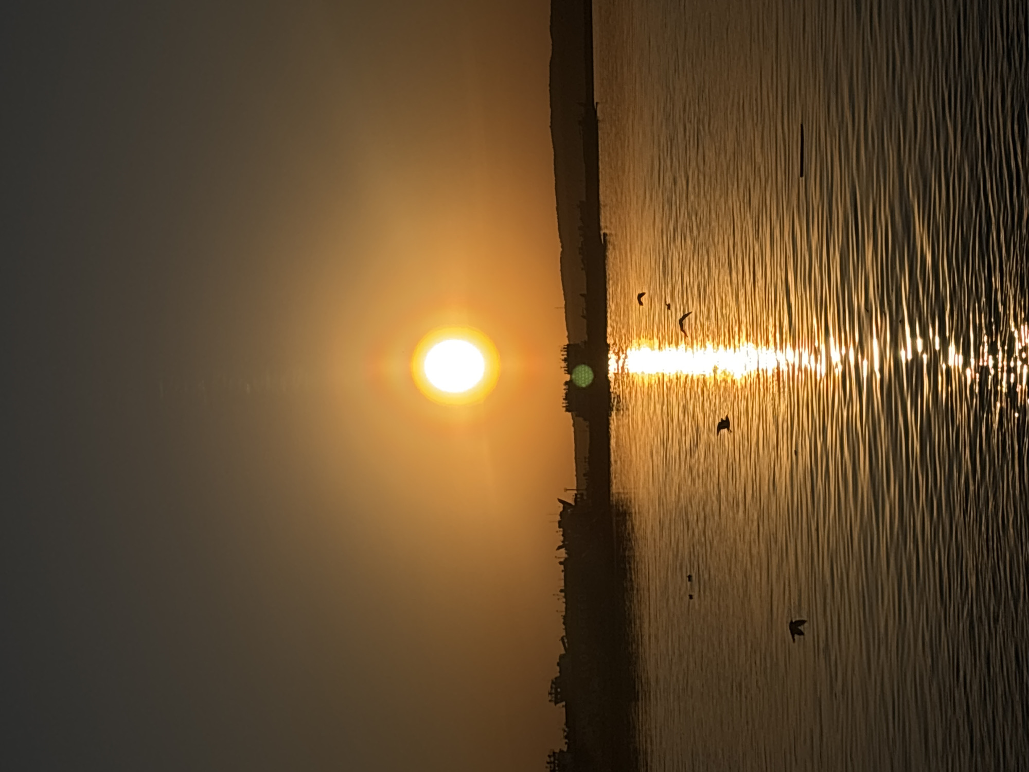 The image shows a body of water, possibly the Kama River, at sunset in Chaikovsky, Russia. The sun is positioned near the horizon, casting a long, bright reflection on the water's surface. Several birds are visible, either flying above the water or perched along the shoreline. The skyline shows a city outline. The lighting is predominantly warm, with shades of orange and yellow, indicative of twilight.