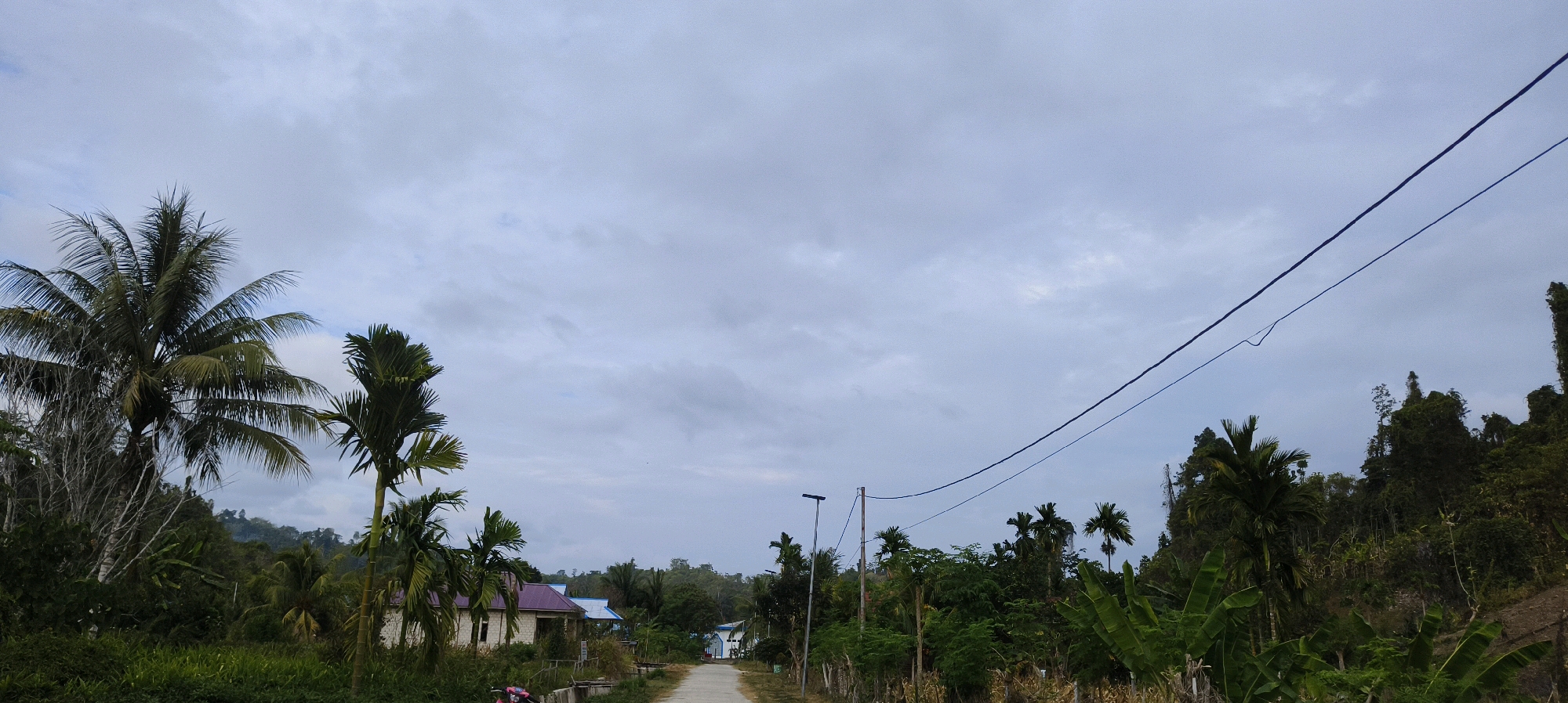 A wide, overcast sky dominates the upper portion of the image. The lower half depicts a rural scene with a dirt road leading into the distance. On the left side of the road, a cluster of palm trees stands prominently, with some bare branches visible amongst the foliage. A building with a purple roof is partially obscured by the trees. Further down the road, more palm trees and dense green vegetation line both sides. On the right side of the road, there are more trees, including some with large leaves that appear to be banana plants. Electrical wires are strung diagonally across the sky from the right side of the frame towards the left, supported by poles visible along the road. The scene suggests a tropical, undeveloped area, likely within or near the city of Waisai, Indonesia, given the vegetation and dwelling style. No people are clearly visible, though a hint of a pink object, possibly a bicycle or scooter, is present on the far left edge of the road. The overall impression is one of a quiet, somewhat overcast day in a rural Indonesian settlement.