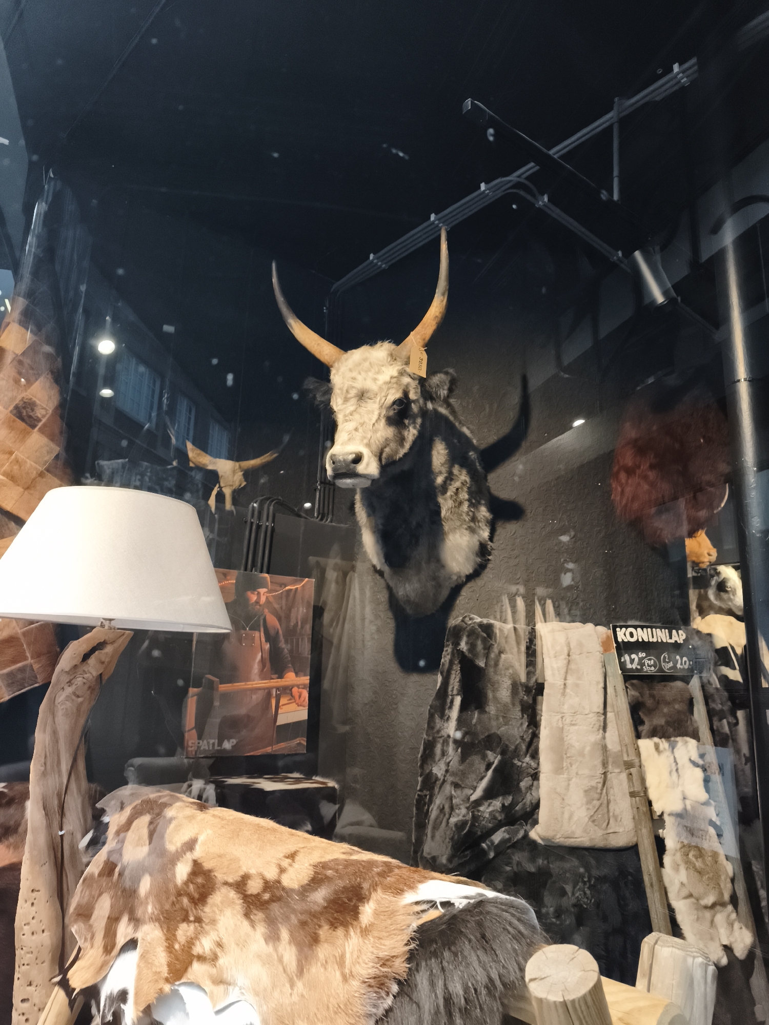 This is an indoor, eye-level, medium shot of a taxidermied bull's head displayed in a shop window in Maastricht, Netherlands. The bull's head is mounted on a dark wall with a textured pattern. It has large, curved horns, a white and grey shaggy mane, and dark eyes. Below the bull's head, various animal pelts and furs are displayed, some draped over wooden structures. To the left, a white lampshade with a wooden base is visible. In the background, through the glass of the shop window, reflections of buildings and lights can be seen, suggesting an urban environment. A sign with text and numbers, possibly pricing information, is visible in the lower right portion of the image. The lighting is dim, with spotlights illuminating some of the displays. The overall impression is of a rustic or natural history-themed shop.
