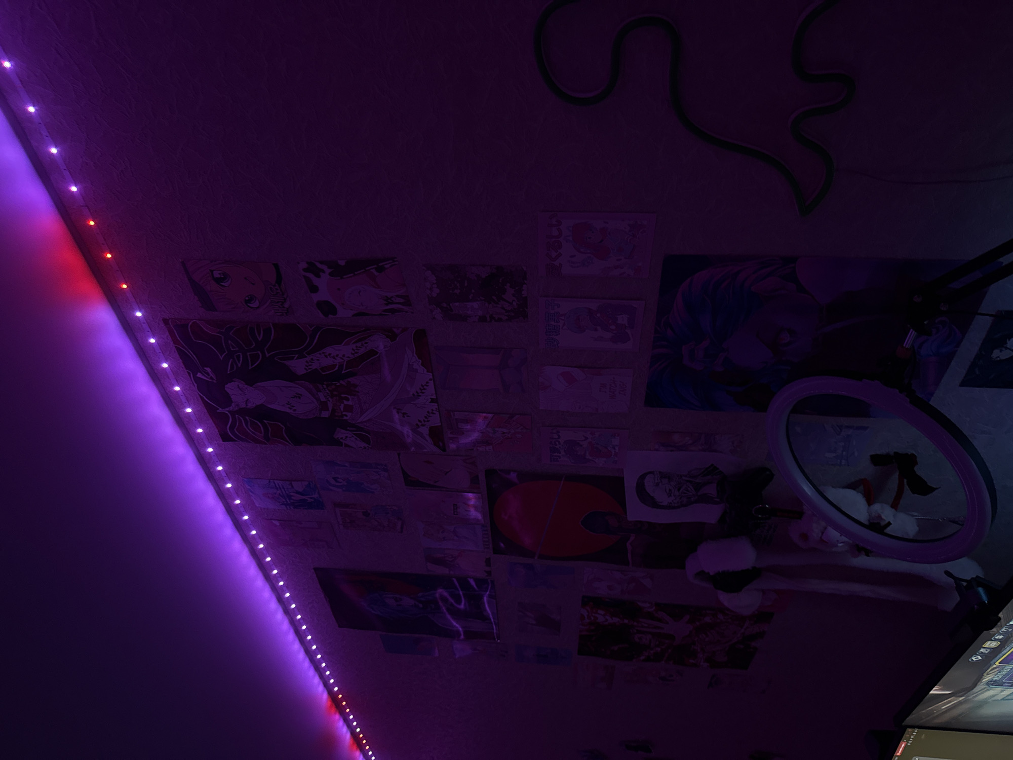 The image depicts a dimly lit bedroom decorated with anime posters. A string of purple and pink LED lights runs along the top of the wall, casting a vibrant glow on the textured surface. Numerous posters, predominantly featuring anime characters, are adhered to the wall in a collage-like fashion. In the lower left quadrant, a computer monitor is partially visible, along with a ring light on a stand, suggesting a potential content creation or gaming setup. A plush toy hangs from the ring light stand. On the right side of the wall, a green neon outline of a creature, possibly a dragon or dinosaur, is mounted. The overall atmosphere is that of a personalized, stylized personal space. The location is identified as Pudomyagi, Russia.