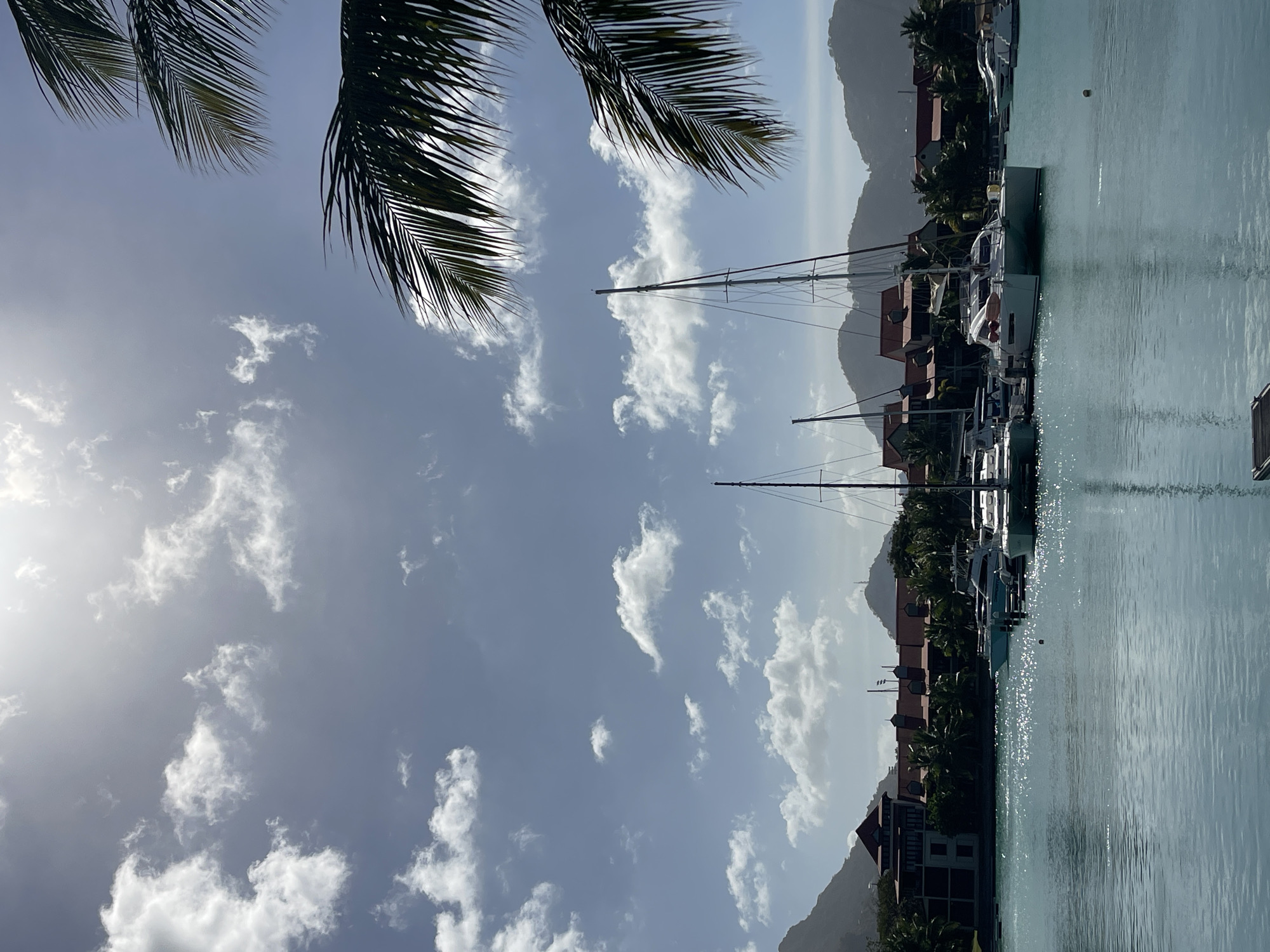 A serene view captures the marina of Eden Island in Providence, Seychelles, under a bright, partially cloudy sky. The sun glints off the calm, turquoise water, reflecting the fluffy white clouds and the tall masts of sailboats docked in the harbor. In the background, a cluster of buildings with distinctive red-tiled roofs lines the waterfront, nestled against lush green vegetation and the gentle slopes of verdant hills. Palm fronds frame the top right corner of the image, adding a tropical touch to the tranquil scene. No people are visible in the image.
