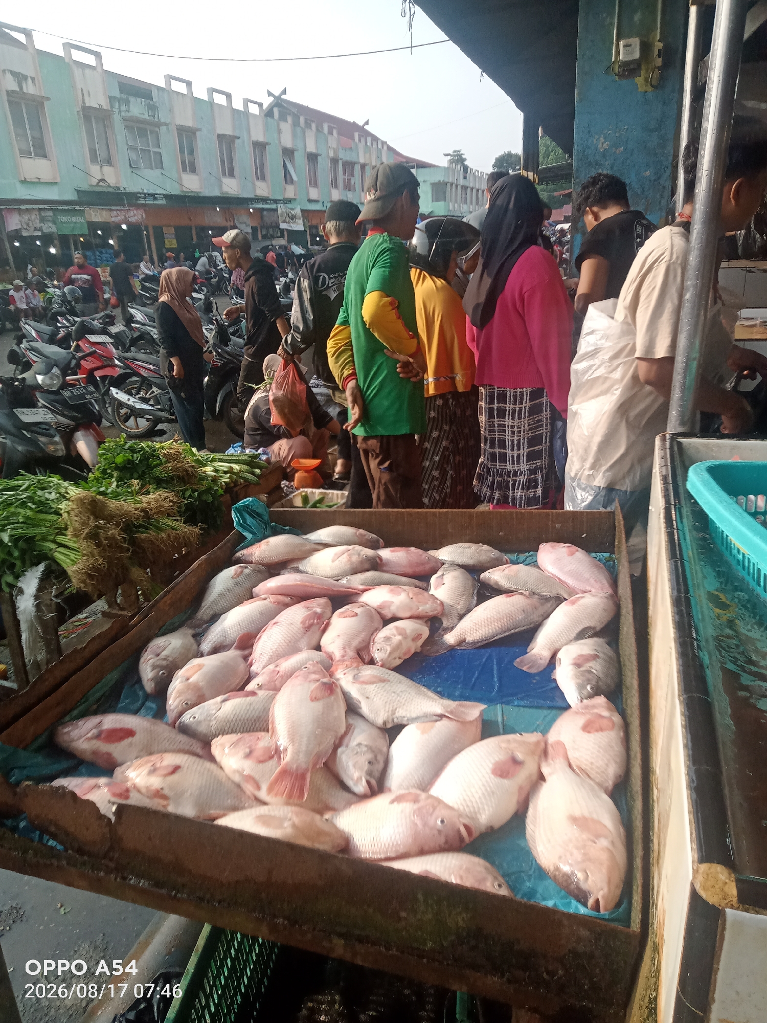 The image depicts an outdoor fish market scene in Jambi, Indonesia. In the foreground, a wooden crate overflows with a large quantity of fresh fish, predominantly tilapia, arranged on a blue plastic tarp. Some fish are whole, while others appear to be filleted. Behind the fish, a bundle of fresh green vegetables, likely leafy greens and herbs, is visible. The market is bustling with activity. Several individuals, dressed in casual attire, are present. Some are interacting with the fish display, suggesting they are either vendors or customers. In the background, a row of buildings with a green and white facade lines the street, with motorcycles parked along the sides, indicating this is a busy commercial area. The overall environment suggests a typical day at a local Indonesian market.