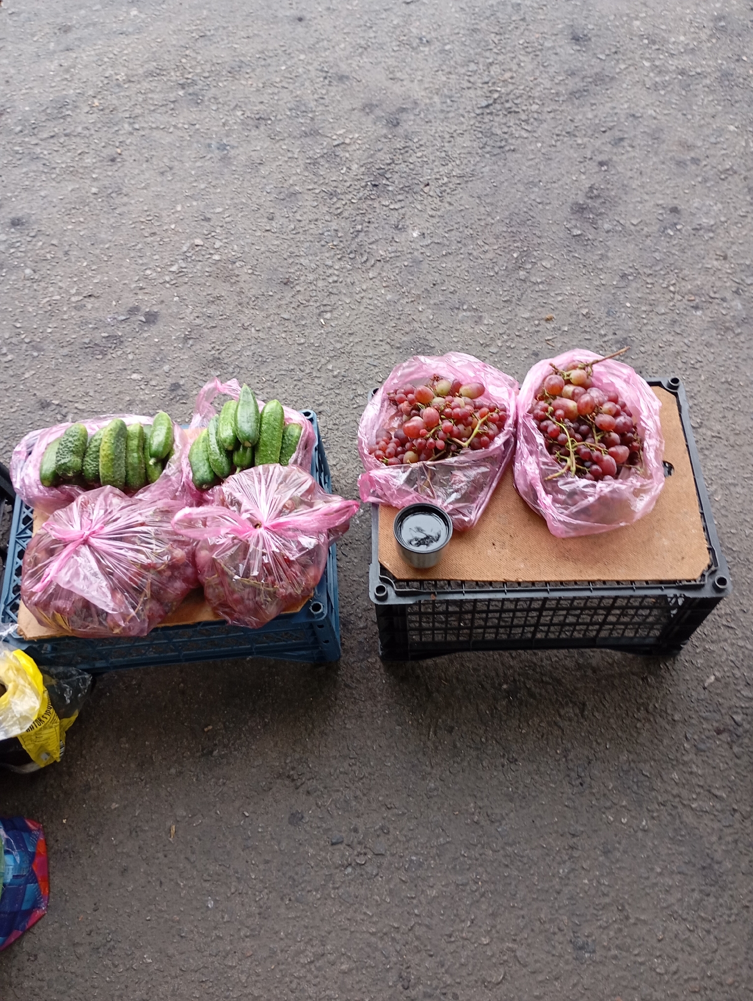 Two crates of produce are displayed on an asphalt surface, likely on a street in Horishni Plavni, Ukraine. The crate on the left contains several cucumbers and two bags of grapes. The cucumbers are green and oblong, some are wrapped in plastic. The grapes are a reddish-pink color and are bagged in clear plastic with pink ties. The crate on the right, elevated on a black plastic stand, holds two more bags of grapes and a small dark cup. The grapes are similar in color and presentation to those in the left crate. The background is a gray, textured asphalt, suggesting an outdoor market or roadside vendor setting. The lighting is even, indicating an overcast day. No people are visible in the frame.