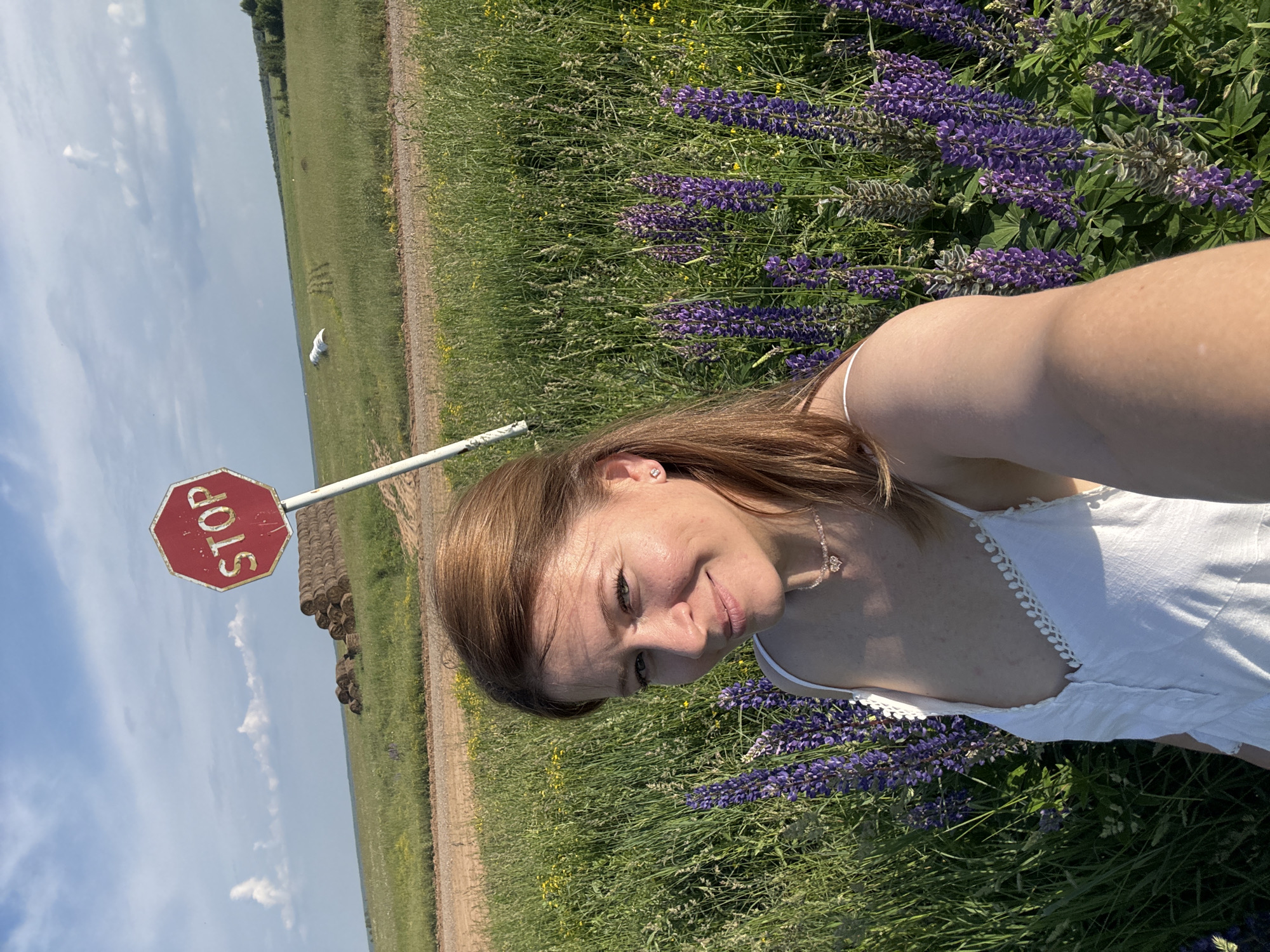 A woman with shoulder-length auburn hair is taking a selfie in a field of tall green grass and purple lupine flowers. She is smiling at the camera and wearing a white dress. In the background, a red octagonal STOP sign on a white pole is visible. Beyond the field, there are stacks of hay bales and a dirt road. The sky is blue with white clouds. The location is the city of Van'ki, Russia.