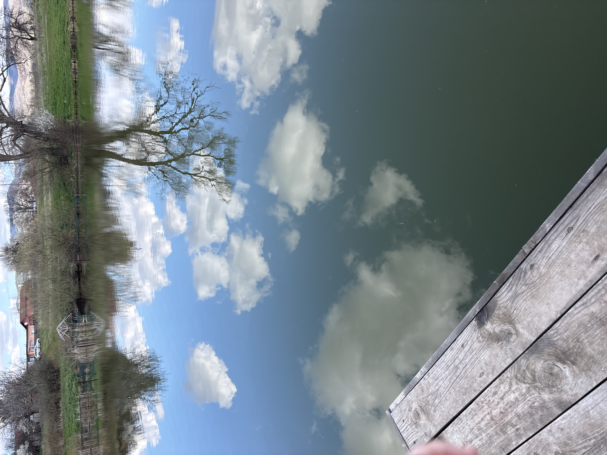 The image captures a scene at a body of water, likely a pond or lake, in or near Червена могила, Bulgaria. The photograph is taken from the edge of a wooden dock or platform. The image is inverted, but the following elements can be identified:
* **Reflection:** The water surface reflects the sky, including scattered white clouds and patches of blue sky. The reflection also includes the landscape along the shore.
* **Shoreline:** Along the opposite bank, there is a landscape consisting of trees (some bare-branched, others possibly in bloom), greenery (grass or vegetation), and possibly a building or house.
* **Dock/Platform:** The bottom-right corner of the image features a portion of a wooden structure, presumably a dock or platform. The wood is weathered and shows the grain.
* **Setting:** The presence of vegetation and water indicates an outdoor environment.