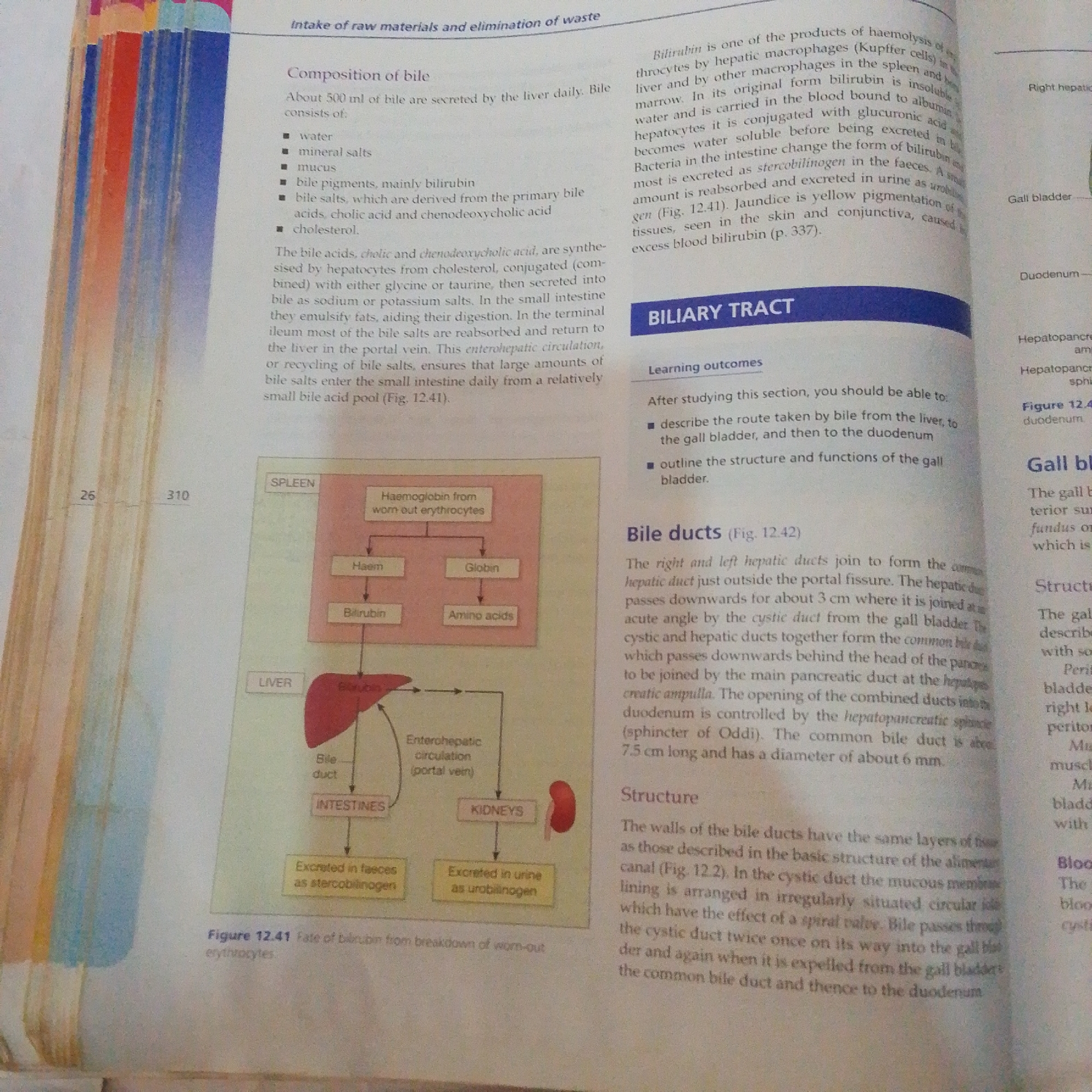 The image provided is a scan of a textbook page. It contains text and diagrams related to the composition, function, and pathway of bile in the human body. There is no information in the image that relates to the city of Jalingo, Nigeria. The content focuses on biological and medical information.