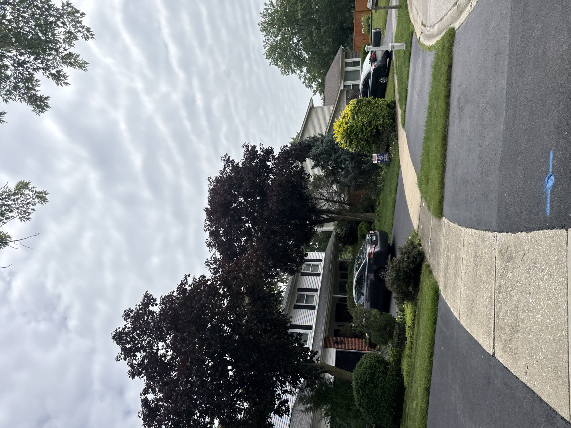 The image depicts a residential street scene in Bolingbrook, Illinois, under an overcast sky. In the foreground, a light-colored concrete sidewalk curves to the right, bordered by dark asphalt driveways and patches of green grass. A blue spray-painted marking is visible on the asphalt in the lower right quadrant.
To the left, a white two-story house with black shutters on the windows is partially obscured by large, dark-leaved trees. A dark-colored sedan is parked in the driveway in front of the house. Adjacent to the house is a garage with a black door.
Further to the right, another house, also light-colored with a brown roof, is visible. A dark-colored sedan is parked in its driveway. A bright yellow-green shrub is positioned in front of this house, and a dark green evergreen tree stands behind it. Mailboxes are present in front of the second house. The background features more trees and fences, typical of a suburban neighborhood.