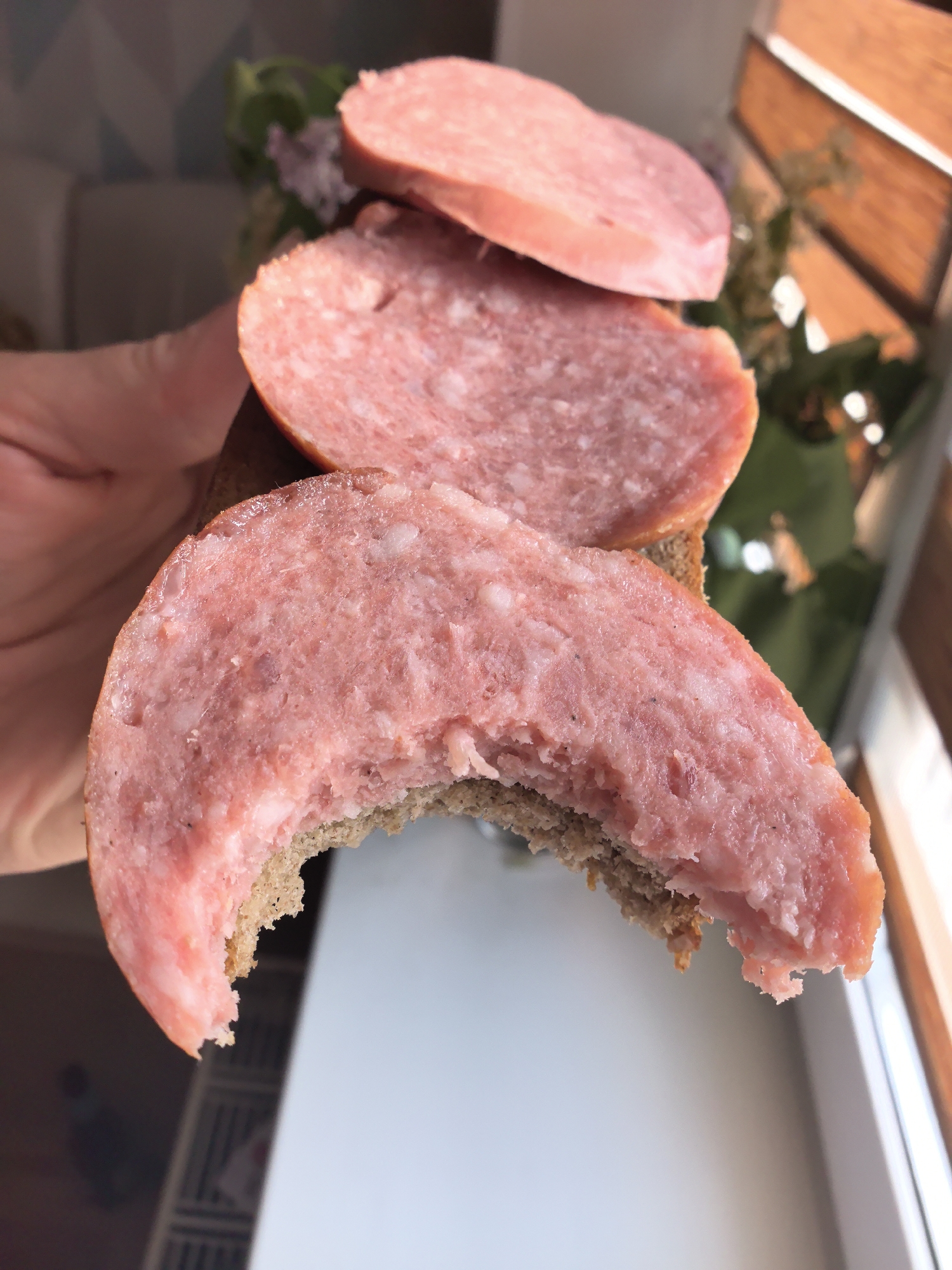 A close-up shot depicts a partially eaten sandwich held in someone's hand. The sandwich consists of dark rye bread topped with three slices of sausage. A bite has been taken out of the bottom slice of sausage and bread. The background is slightly blurred, showing a window and some greenery. There is no information to suggest the photo was taken in the city of Фролы, Russia.
