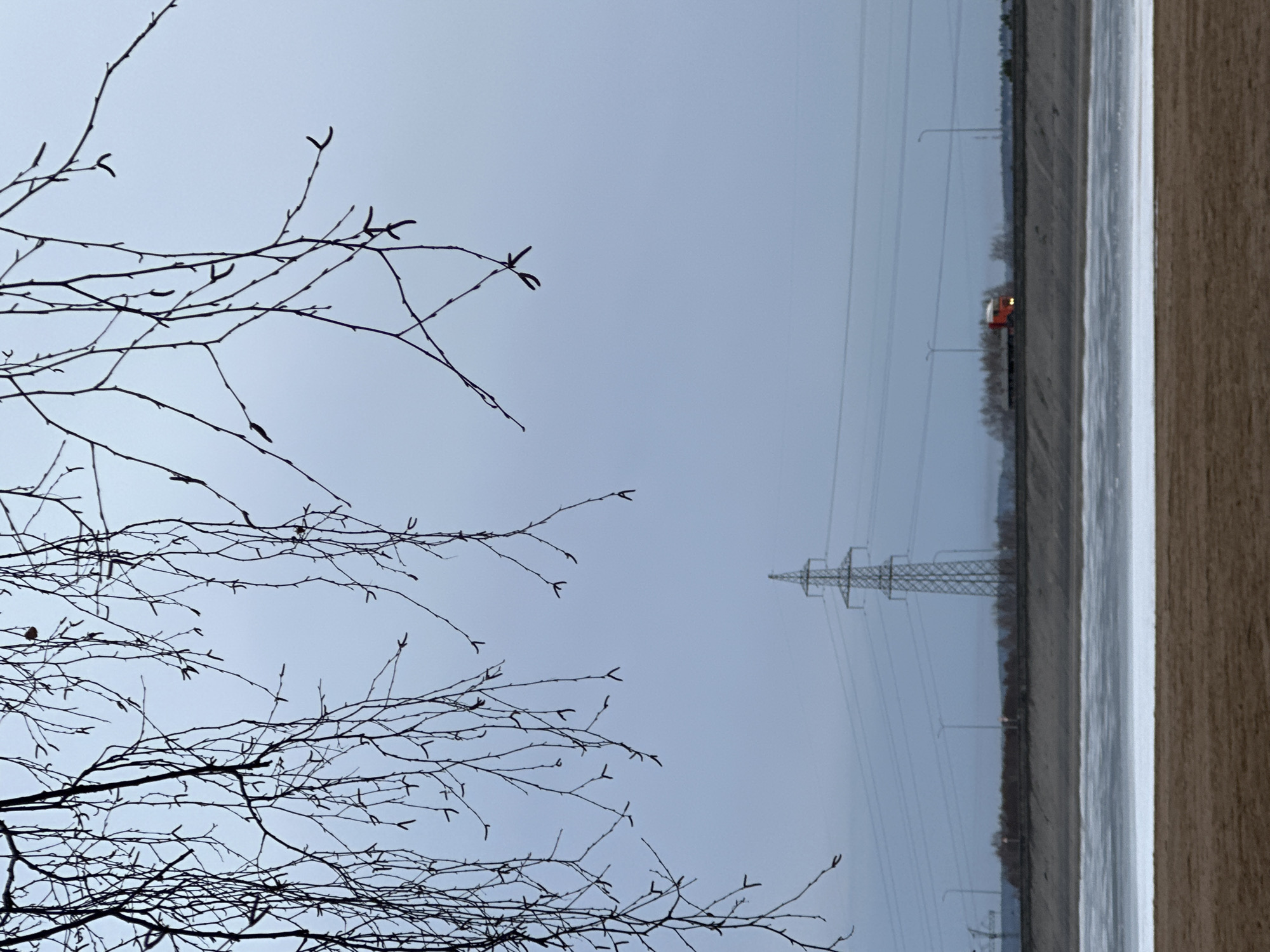 The image presents a winter scene. In the foreground are bare tree branches against a grey sky. To the right, a snow-covered ground runs alongside a road where a red vehicle is visible. Further in the background stands a transmission tower. The location is suggested to be in the city of Noviy, Russia.