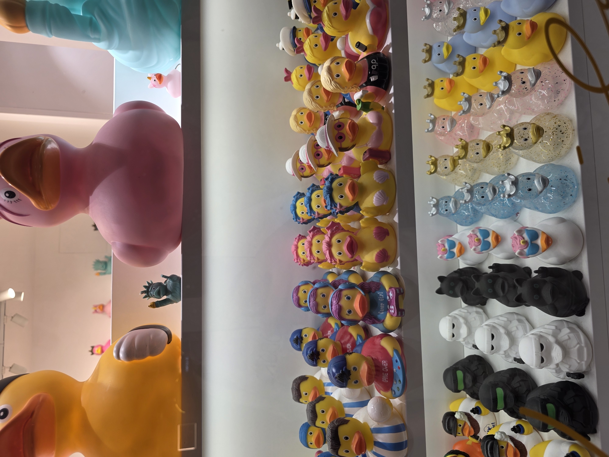 The image displays a close-up, eye-level view of a retail display filled with numerous rubber ducks. The display is organized on white shelves. In the foreground, various themed rubber ducks are arranged. These include ducks dressed as characters like a stormtrooper and a gamer, as well as ducks with crowns and glittery finishes. The background shows larger, more prominent rubber ducks, one yellow and one pink, and a partial view of a blue decorative duck. The environment appears to be a store, with soft lighting and a clean, well-lit display. No people are visible in the image. The overall scene is one of a commercial display of novelty toys.