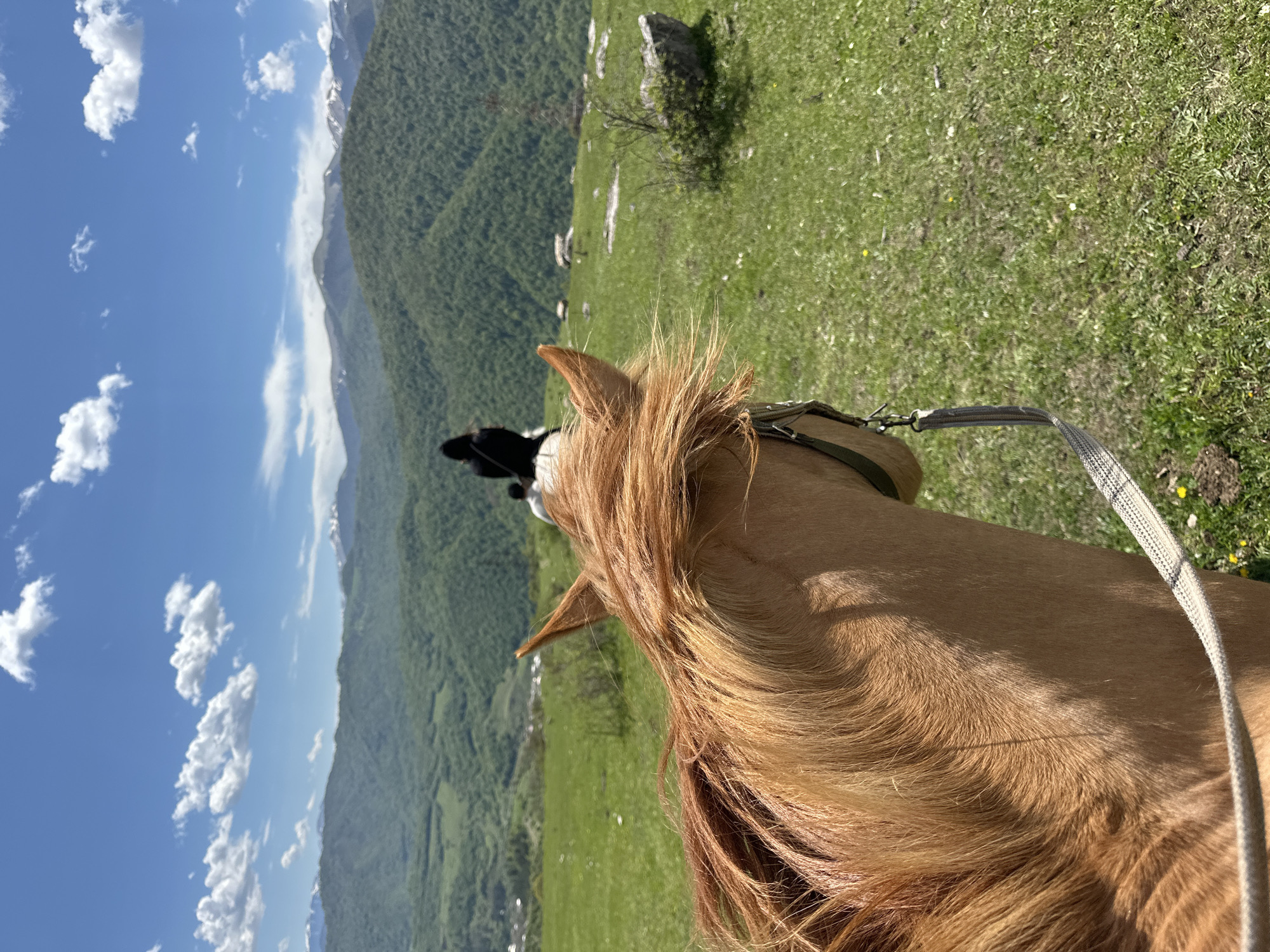 A close-up, slightly tilted, eye-level shot shows the view from horseback in a mountainous region, likely near Teghut, Armenia. The foreground focuses on the mane, head, and ears of a golden-brown horse. A bridle is visible. In the midground, a second rider with a black helmet is visible in the center of the image, riding ahead. The background reveals rolling green hills and forested mountains, some with snow-capped peaks, under a bright blue sky with scattered white clouds. The photograph captures the perspective of horseback riding within a scenic mountain landscape.
