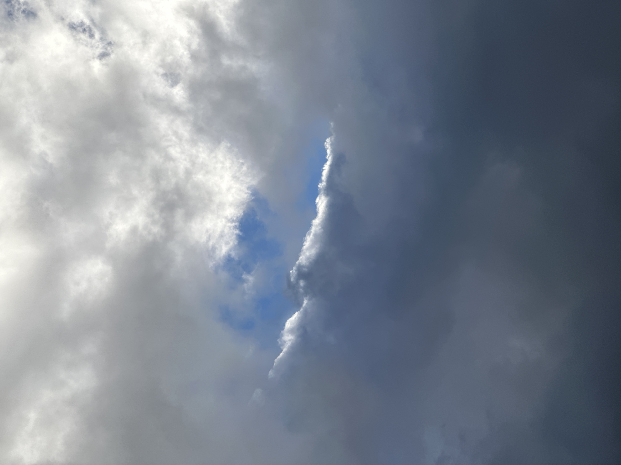 The image shows a sky filled with dramatic, varied clouds. In the upper portion, bright white cumulus clouds are illuminated by sunlight, with hints of blue sky peeking through. The mid-section features darker, more textured clouds, with a striking strip of bright white clouds forming a sharp line against the darker masses. Below this, the sky transitions to deep gray, almost black, storm clouds that dominate the lower half of the frame, suggesting an impending change in weather. There are no people, structures, or discernible landmarks visible, only the atmospheric conditions of the sky. The scene captures a moment of dynamic cloud formation and lighting. The location in Novosaratovka, Russia is not visually represented in the image itself.