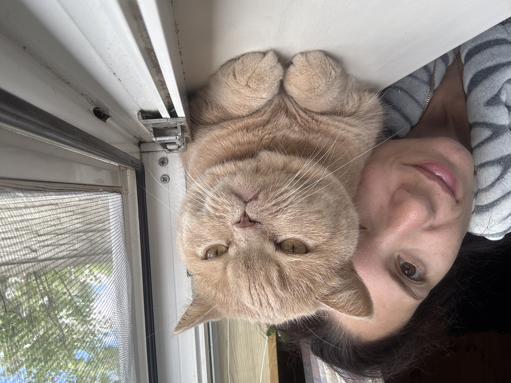 An image shows a person and a cat in a close-up shot. The person is on the left side of the frame, with their face partially visible. They have dark hair and brown eyes. They are wearing a gray and white striped garment. Next to them, on the right, is a light-colored, fluffy cat. The cat is facing forward, with its paws tucked beneath it. The cat has a stern or unimpressed expression. Both the person and the cat are positioned on a white surface, likely a windowsill, in front of a window. Through the window, a screen is visible, and beyond that, greenery and a blue sky suggest an outdoor environment. The scene appears to be indoors, by a window.