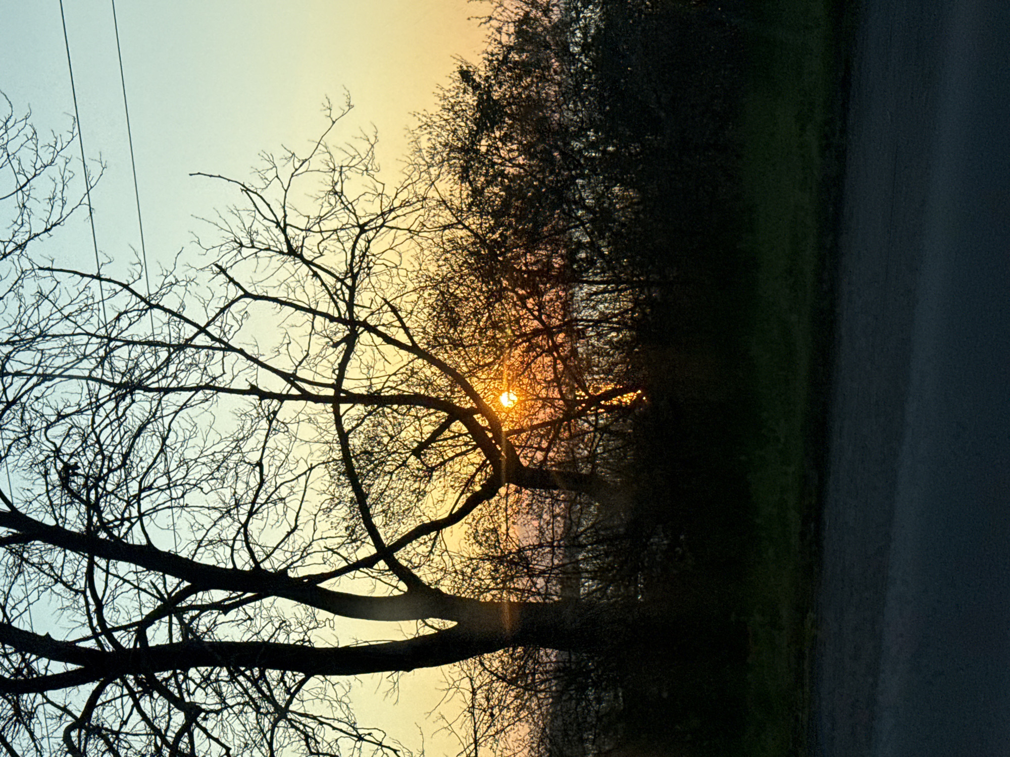 The image shows a sunset through the branches of a bare tree. The sky is a gradient of colors, from a light blue to a yellow-orange near the horizon, where the sun is visible as a bright orb partially obscured by the tree's branches. The tree is in silhouette. To the right of the tree is a dark, dense row of trees or bushes, and further to the right, a dark, paved surface, possibly a road or path. The image is sideways, with the horizon appearing vertical. There are utility lines on the left side of the image. No people are visible. I cannot provide the location in Burgas, Bulgaria, as that information is not present in the image.