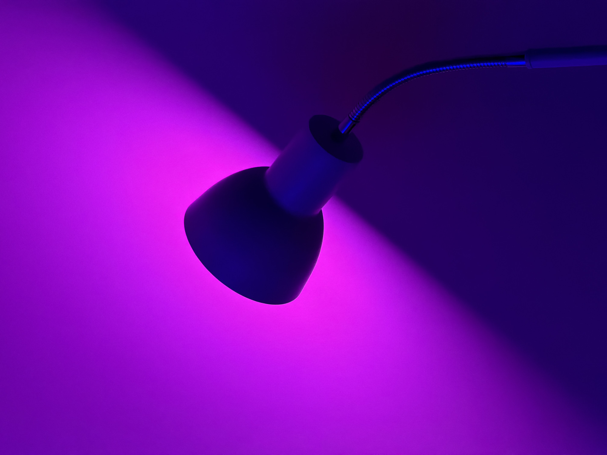 A desk lamp with a flexible arm is positioned to the right of the frame, casting a beam of purple light onto a surface. The light appears to be the primary source of illumination in an otherwise darkly lit environment.